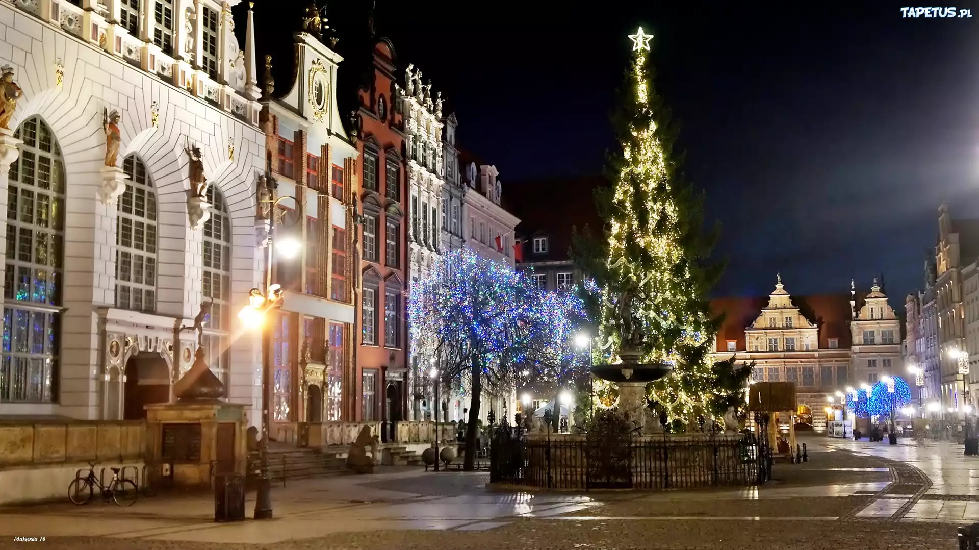 Miasto, Gdańsk, Noc, Choinka, Świąteczne