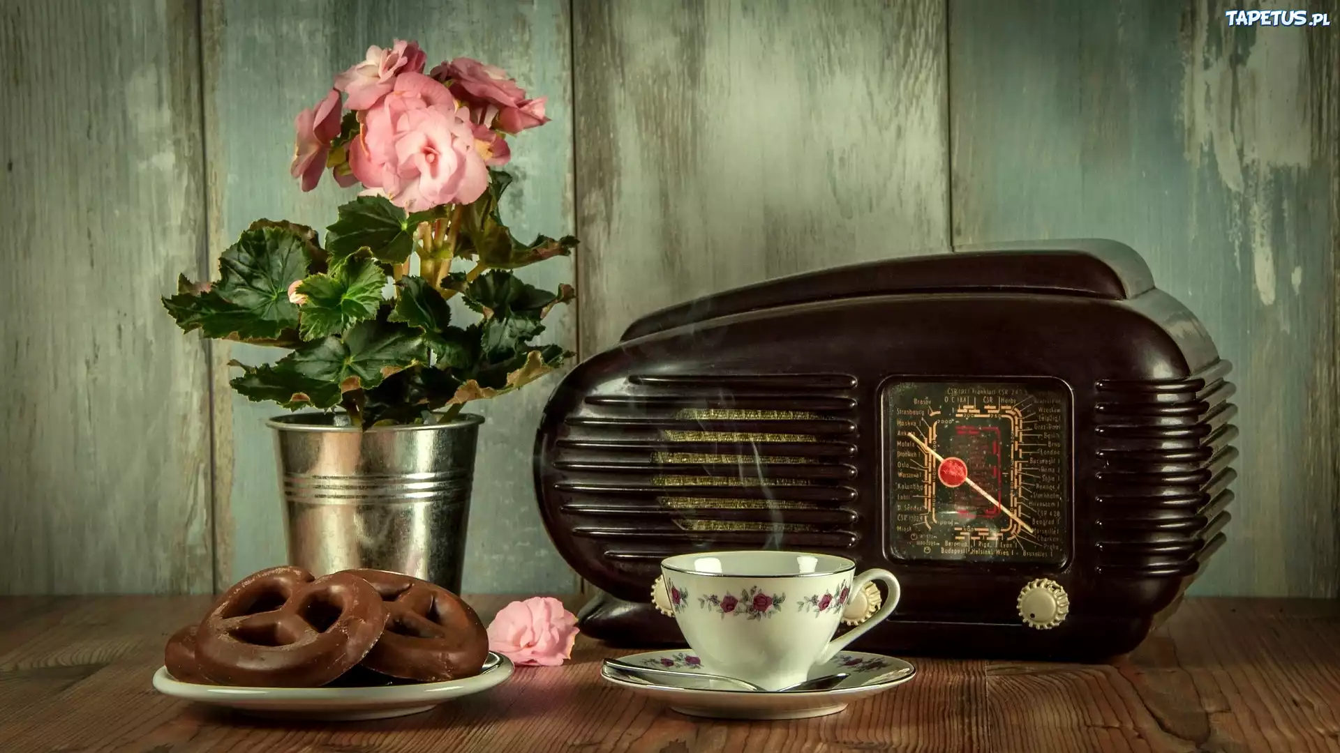Antyk, Radio, Kwiat, Begonia, Pierniki, Filiżanka
