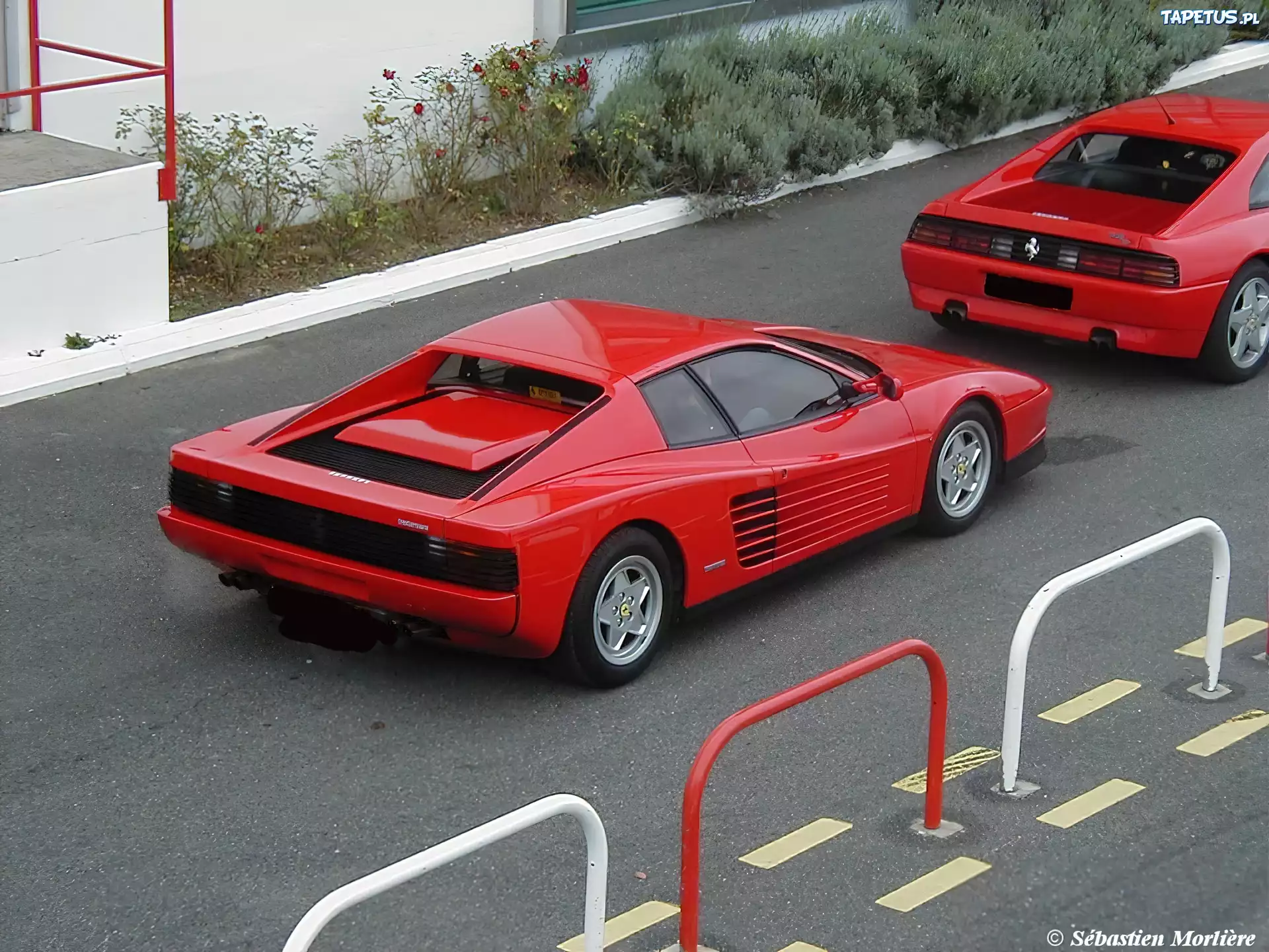 Ferrari,tył , drzwi , koła