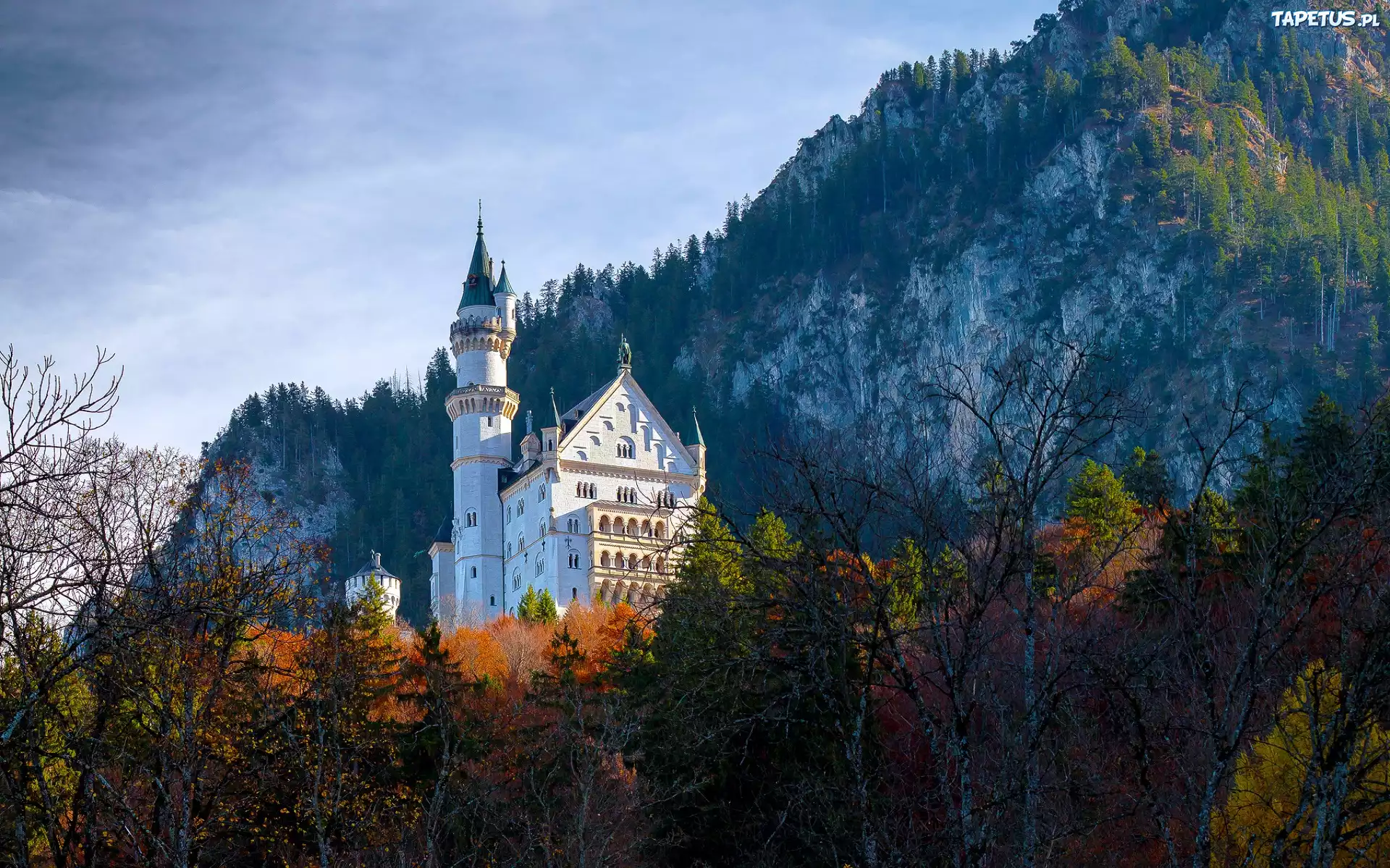 Zamek Neuschwanstein, Bawaria, Niemcy, Skały, Drzewa, Jesień