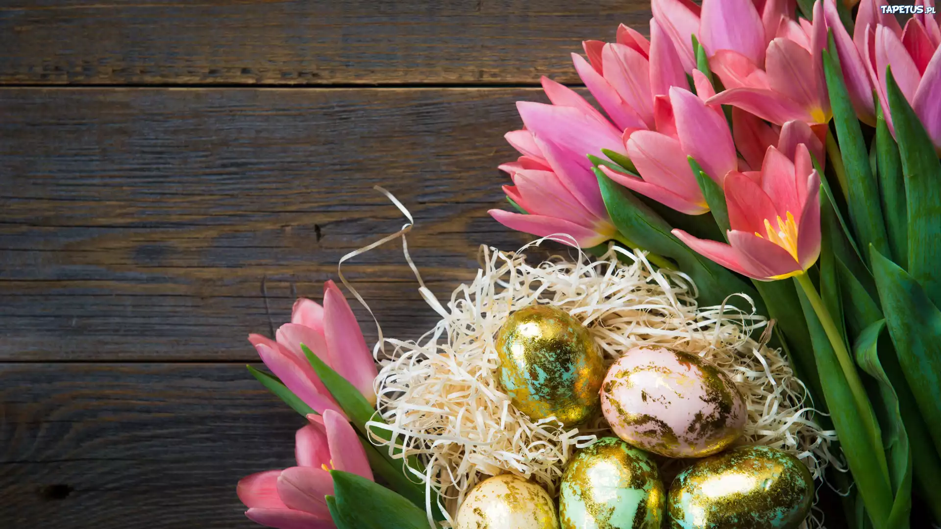 Tulipany, Pisanki, Deski, Wielkanoc