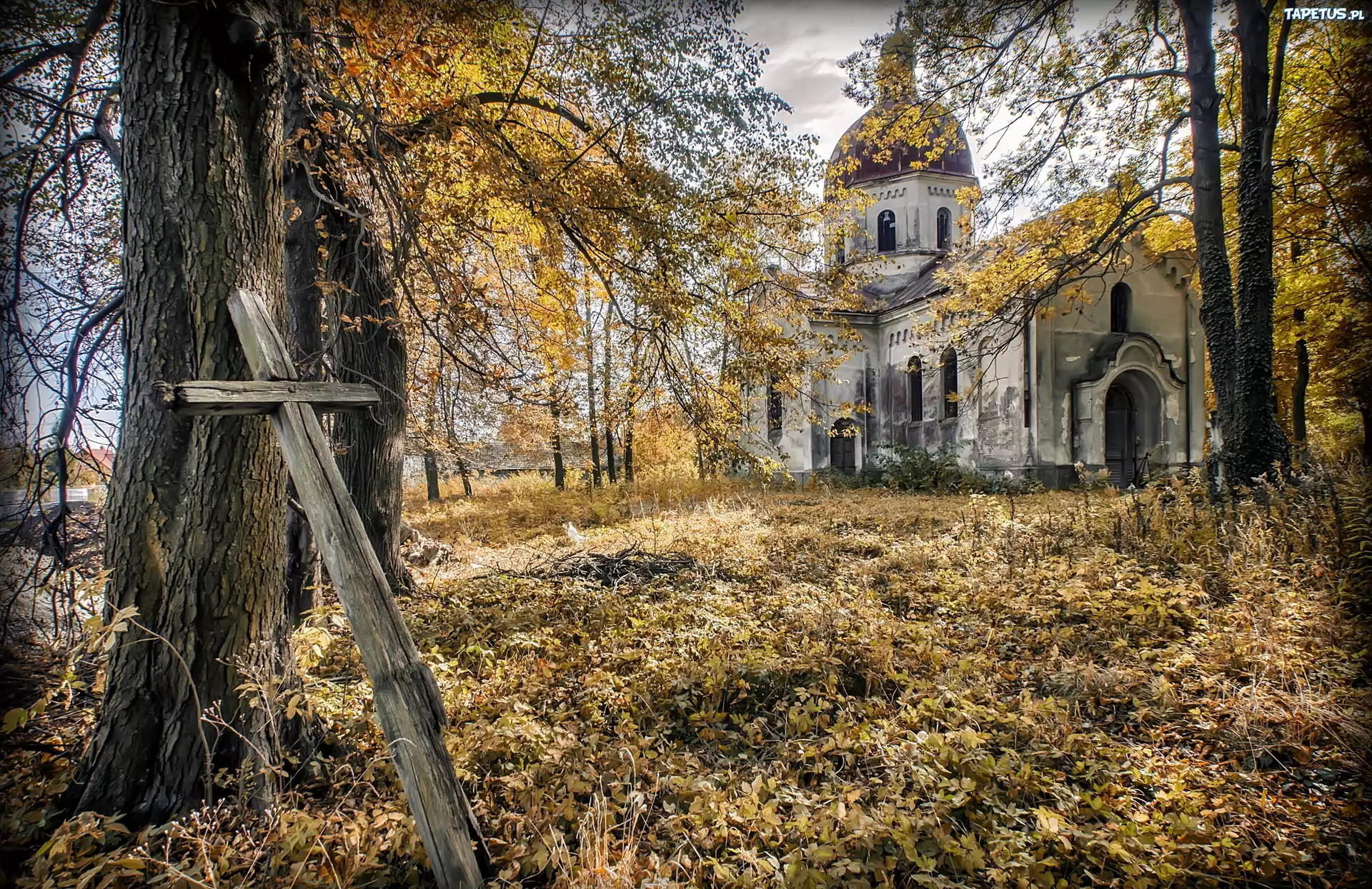 Cerkiew, Jesień, Drzewa