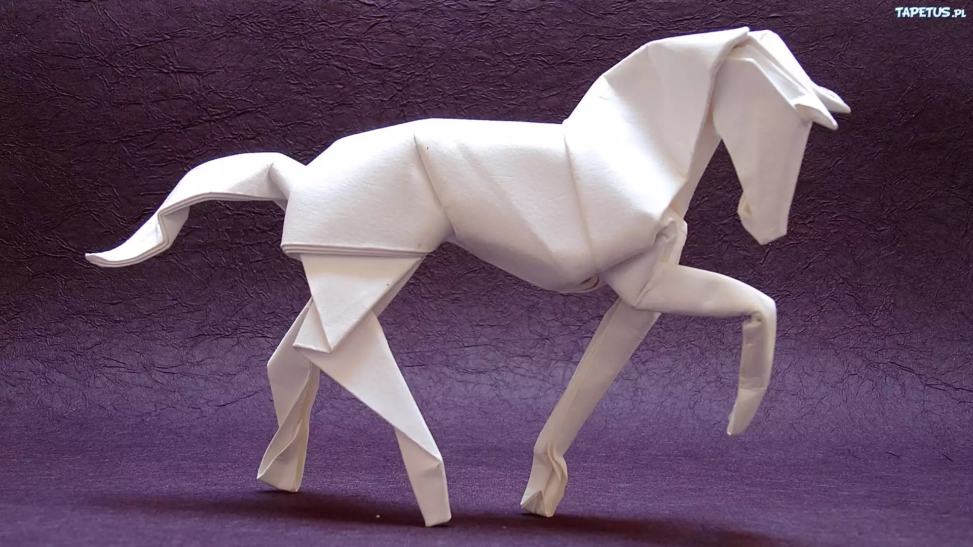 Origami, Koń