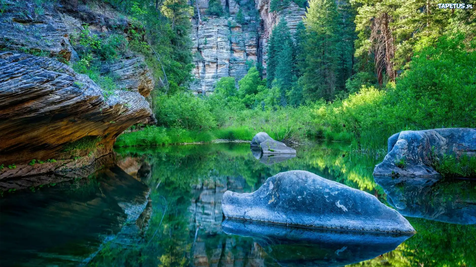 Stany Zjednoczone, Arizona, Obszar West Clear Creek Wilderness, Wąwóz West Clear Creek Canyon, Kamienie, Drzewa, Skały