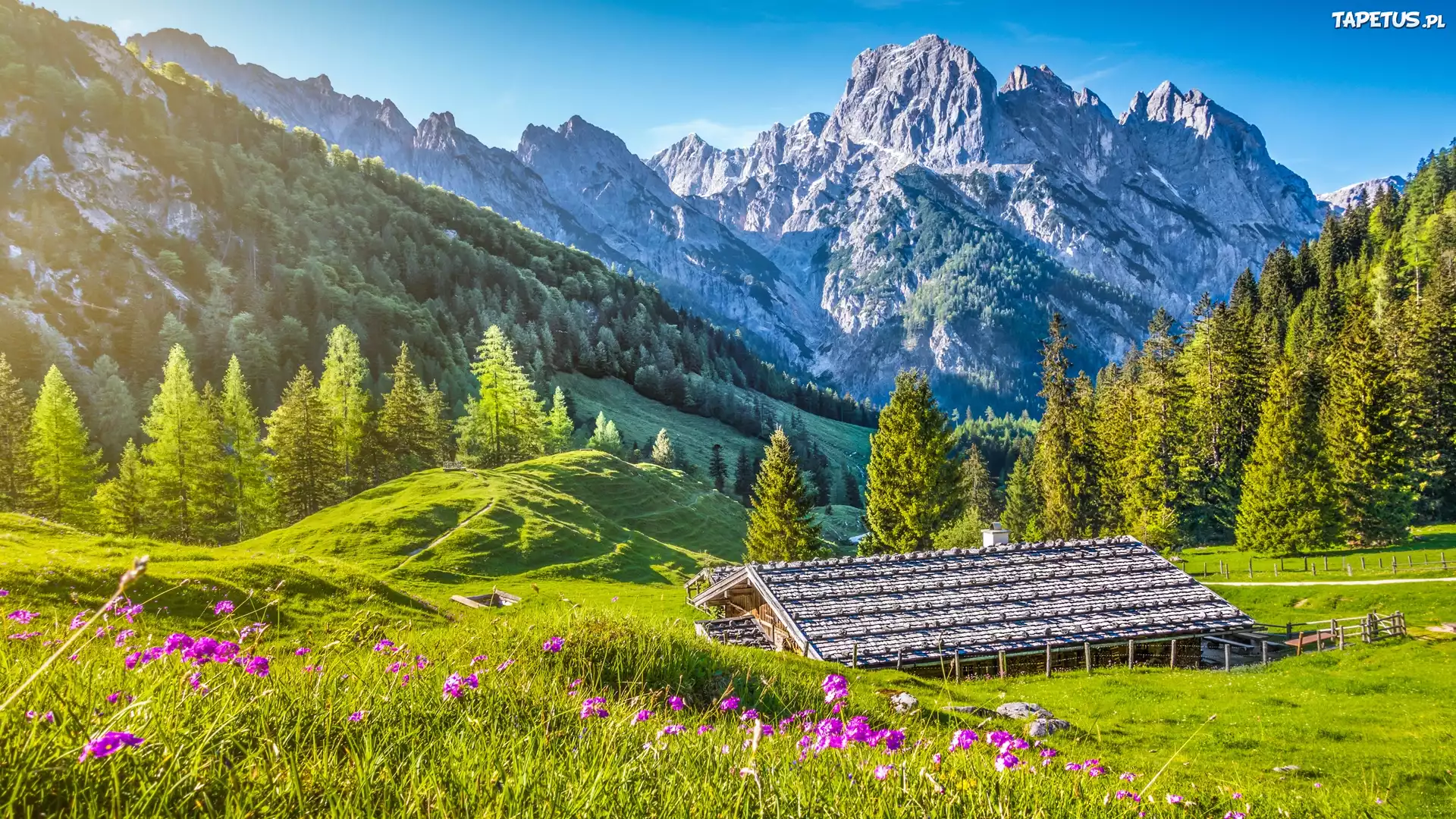 Niemcy, Bawaria, Góry Alpy, Park Narodowy Berchtesgaden, Drewniany, Budynek, Drzewa