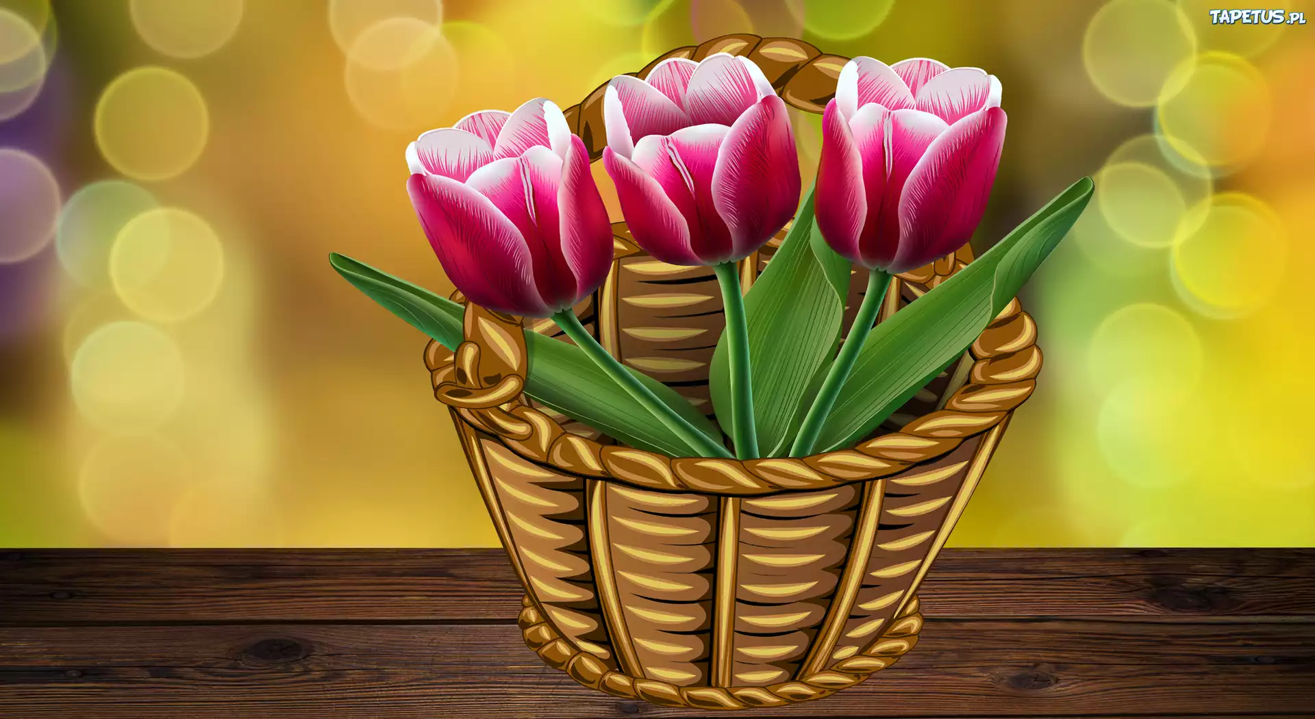 Kosz, Tulipany