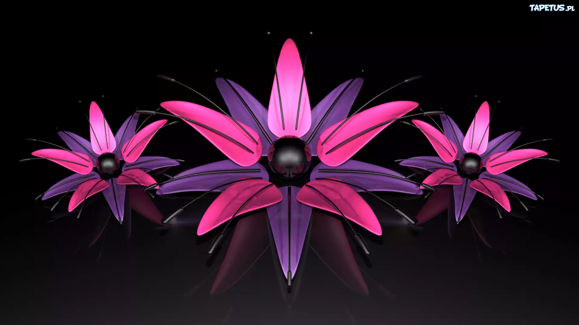 Grafika 3D, Trzy, Kwiaty