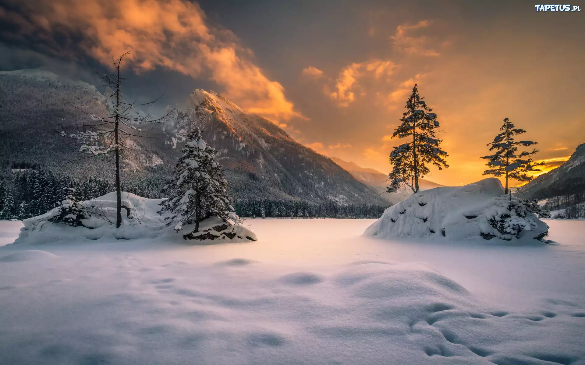 Zima, ?nieg, Drzewa, Zach?d s?o?ca, G?ry Alpy, Jezioro Hintersee, Bawaria, Niemcy