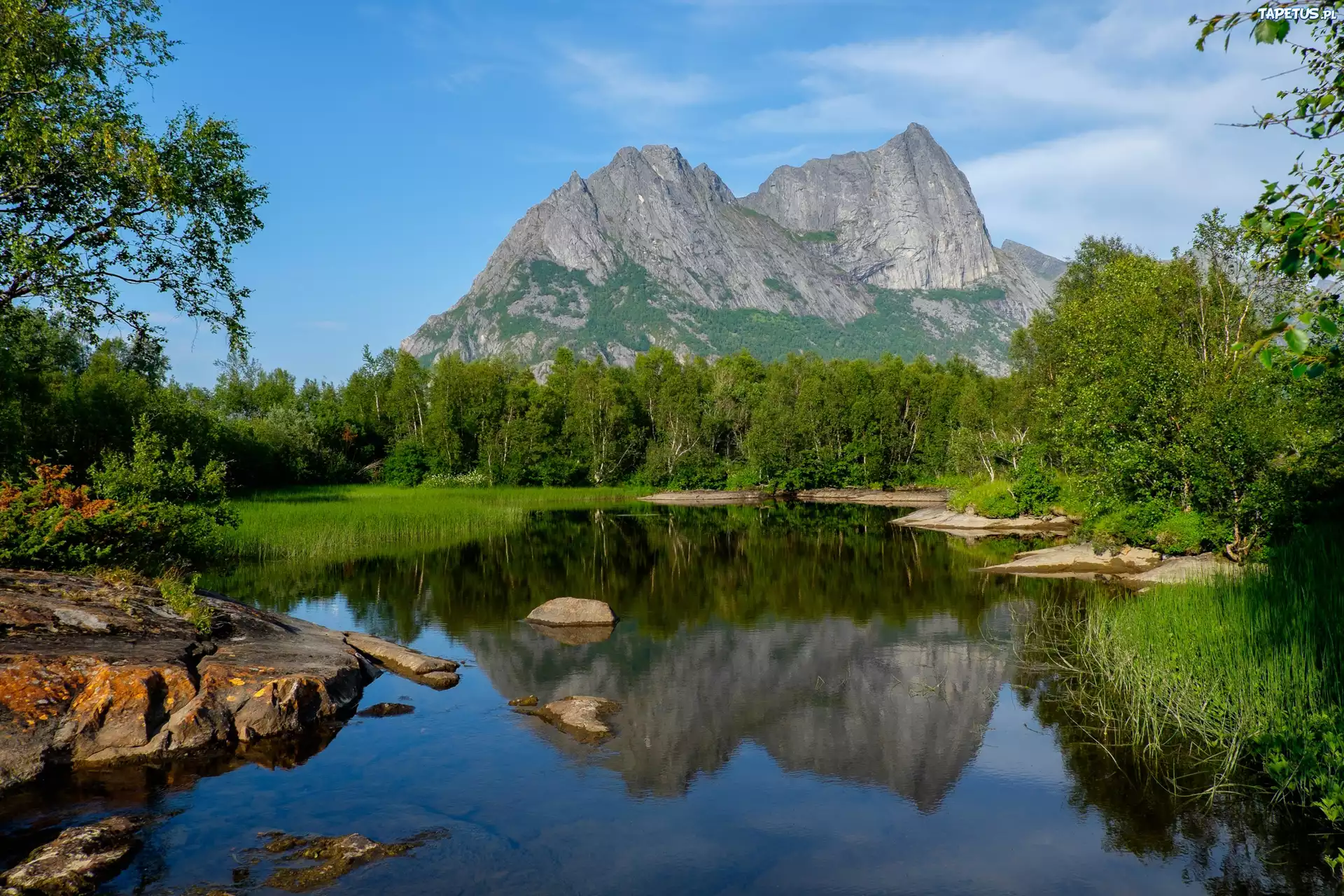 Norwegia, Okręg Nordland, Góry Strandåtinden, Rzeka Strandåga, Drzewa