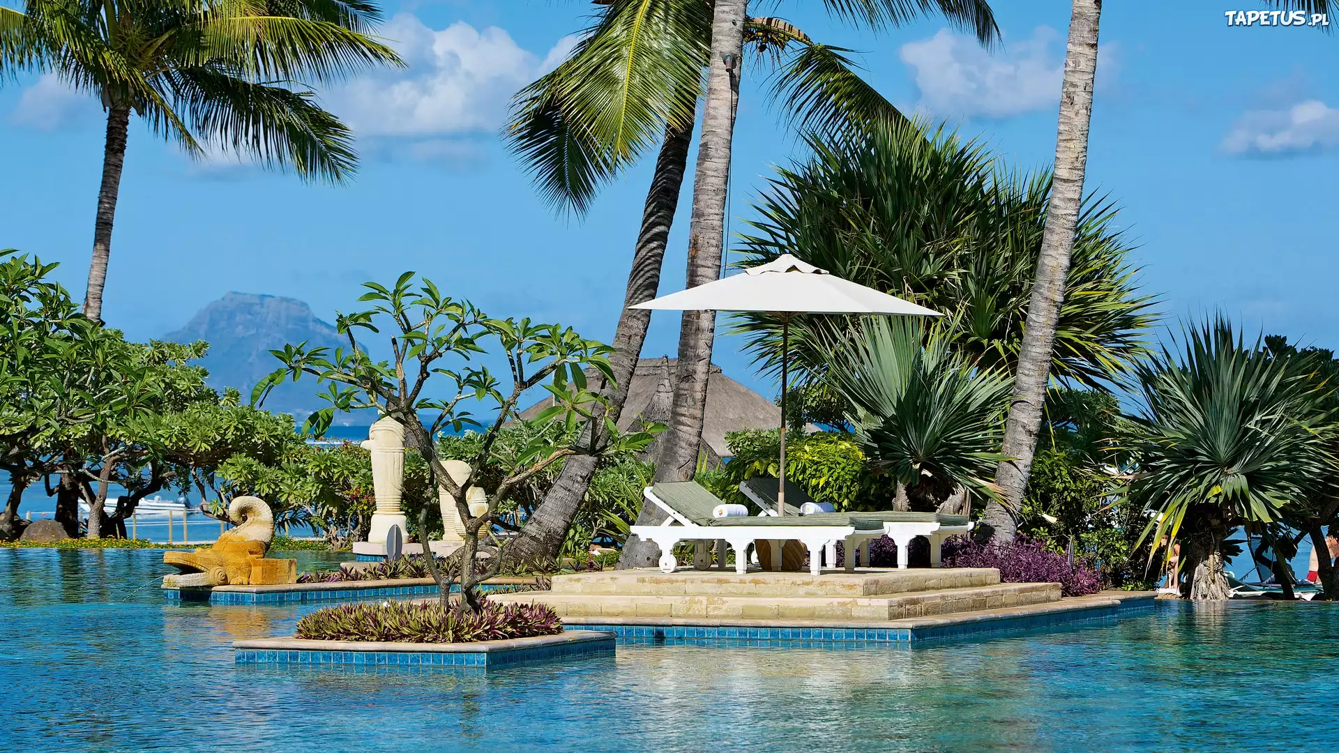 Mauritius, Basen, Parasol, Leżaki, Wakacje