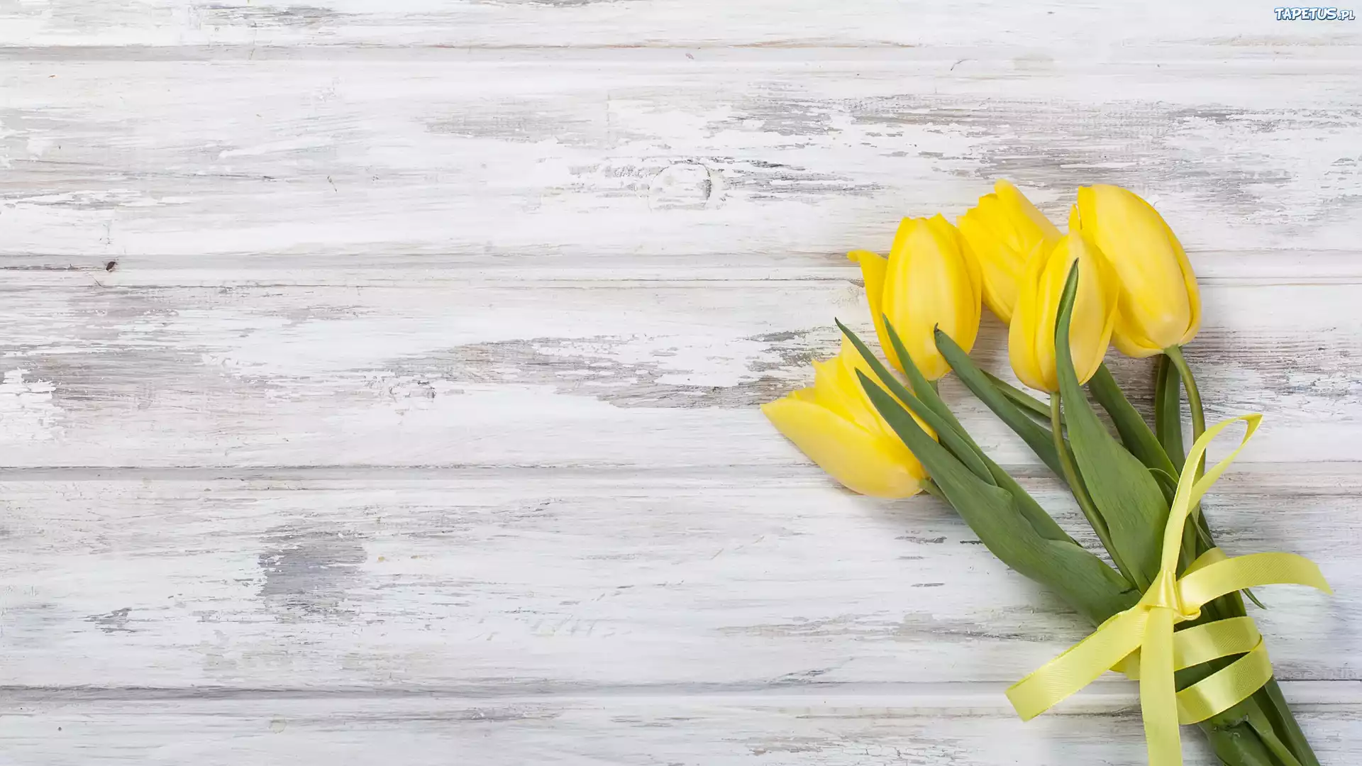 Żółte, Tulipany, Wstążka, Bukiet