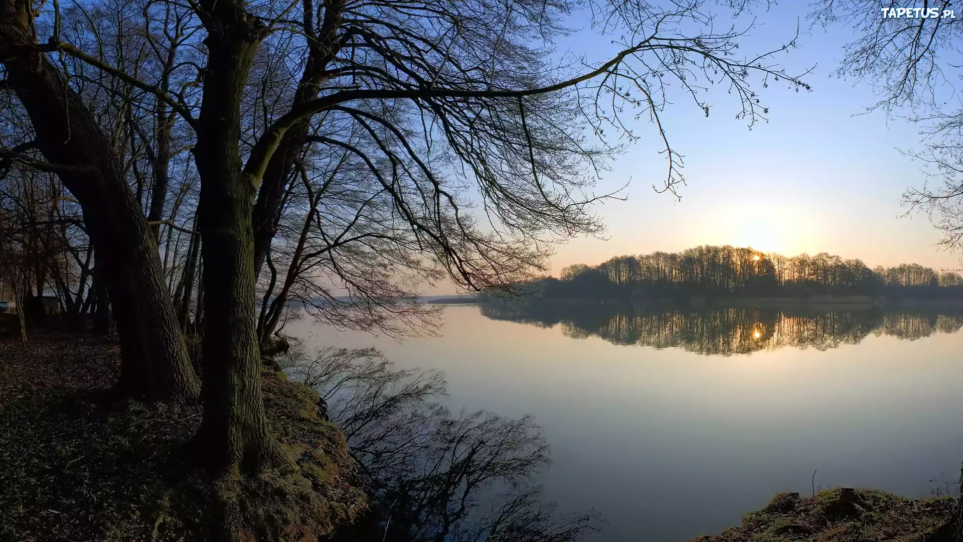 Jezioro, Drzewa, Wschód słońca
