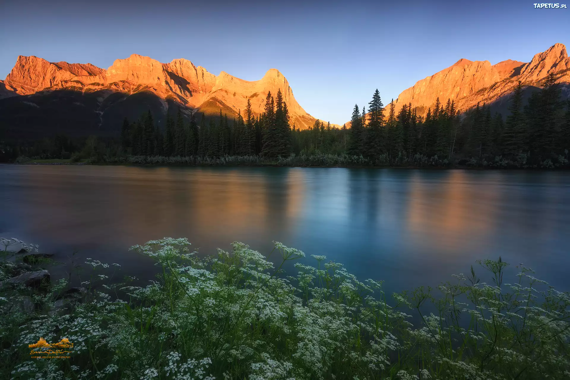 Góry, Canadian Rockies, Rzeka Bow, Las, Drzewa, Roślinność, Alberta, Kanada