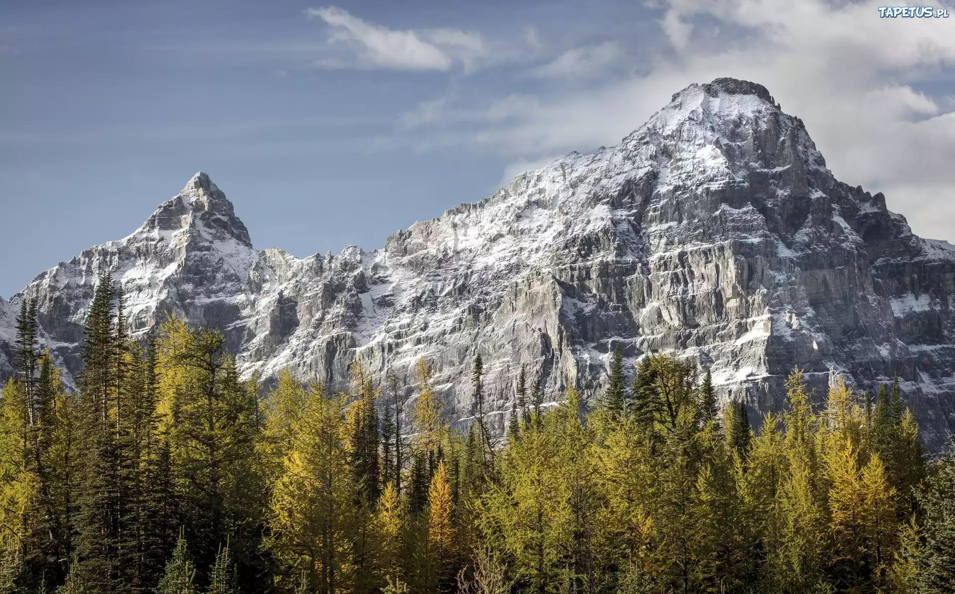 Kanada, Park Narodowy Banff, Szczyt Castle Mountain, Góry, Drzewa