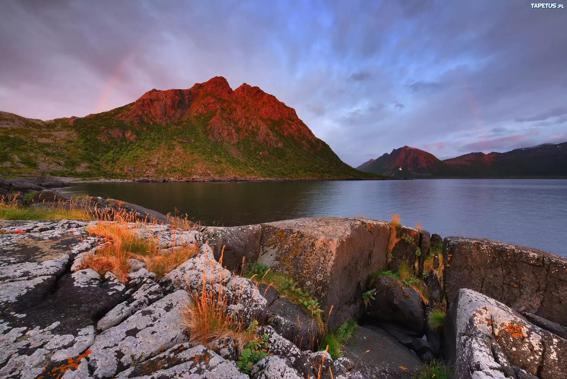 Morze, Skały, Góry, Roślinność, Wyspa Senja, Norwegia