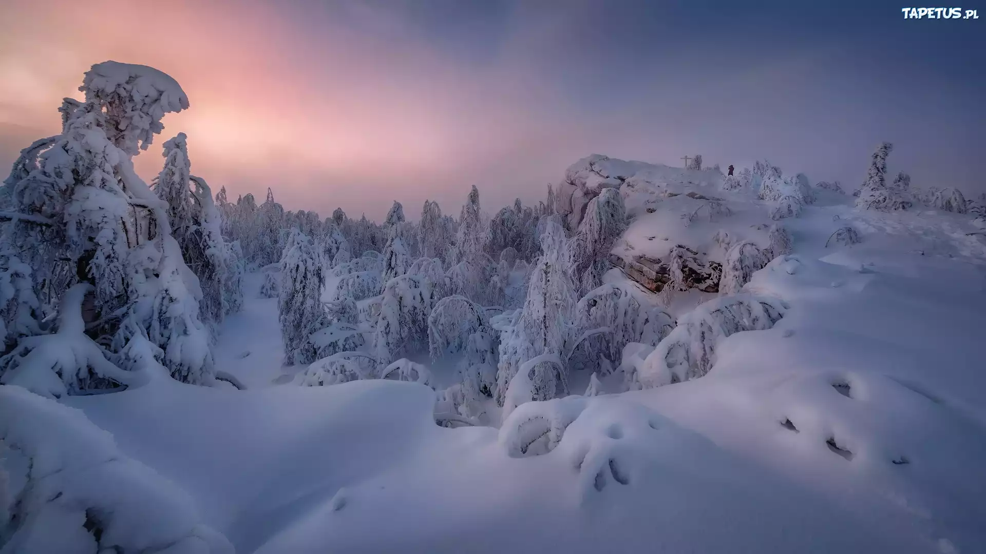 Zima, Zaśnieżone, Drzewa, Krzewy, Góry, Skały, Góra Krestovaya, Kraj Premski, Rosja