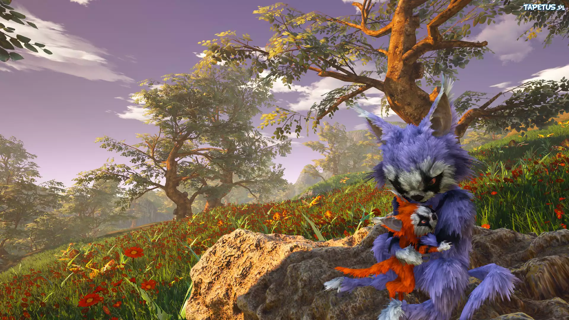 Gra, Biomutant, Koty