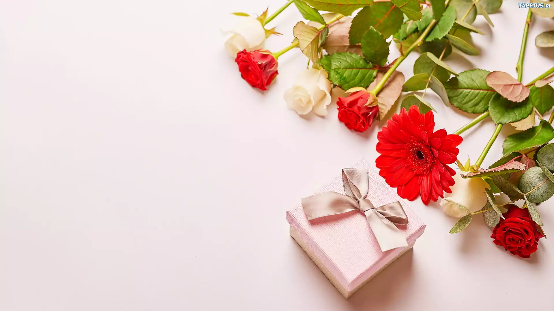 Róże, Gerbera, Prezent