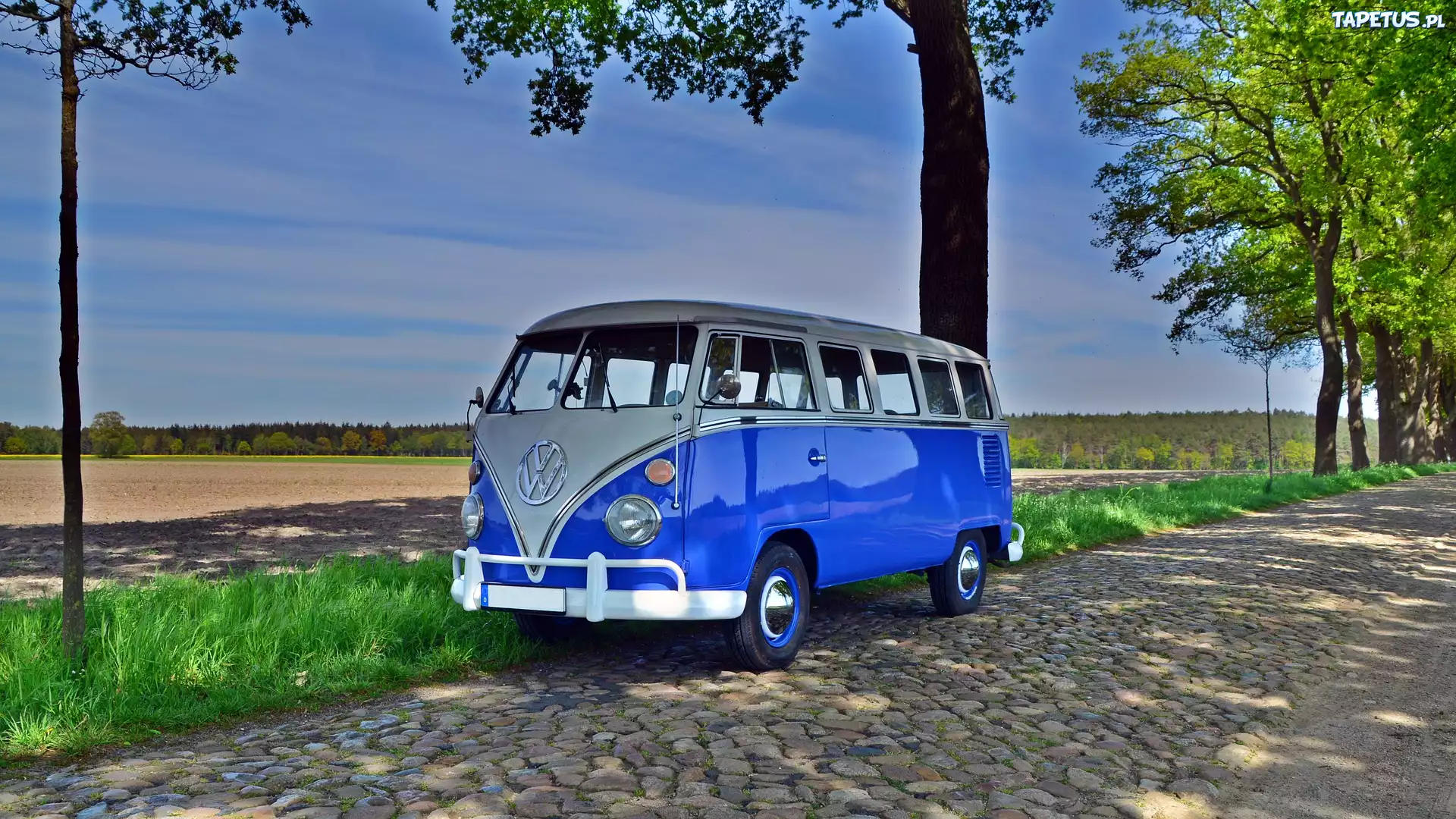 Niebieski, Zabytkowy, Volkswagen Transporter T1