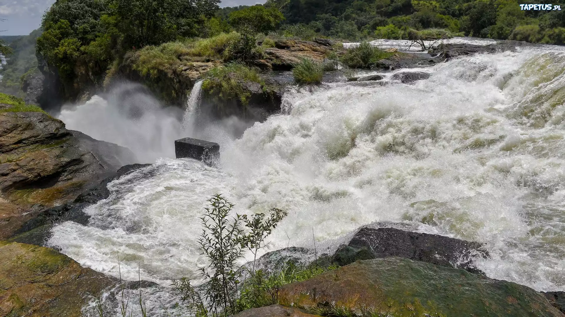Wodospad, Murchison Falls, Rzeka, Nil Wiktorii, Kamienie, Park Narodowy Wodospadu Murchisona, Uganda, Afryka