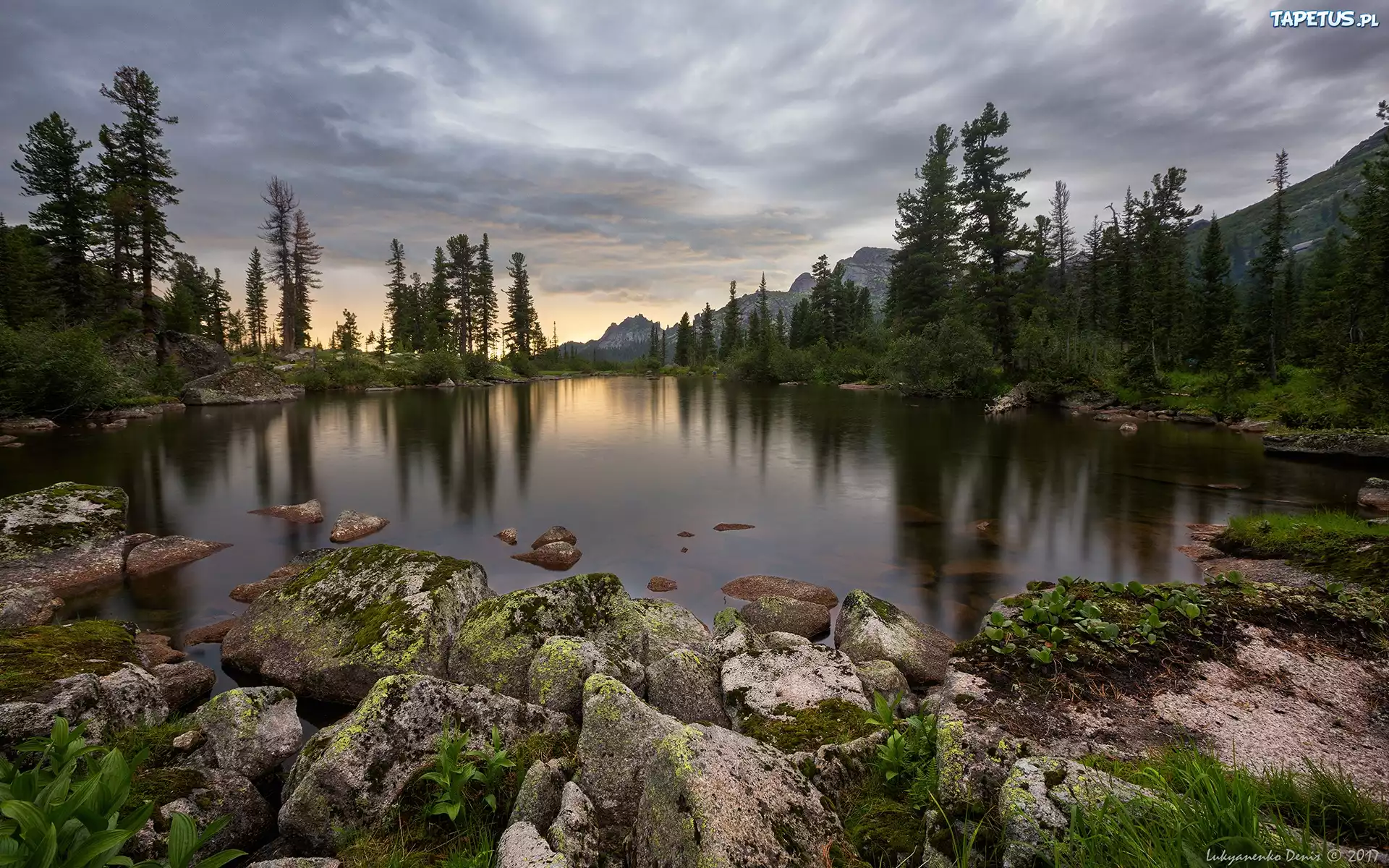 Jezioro Lazurnoye, Góry, Drzewa, Świerki, Kamienie, Park przyrody Ergaki, Syberia, Rosja