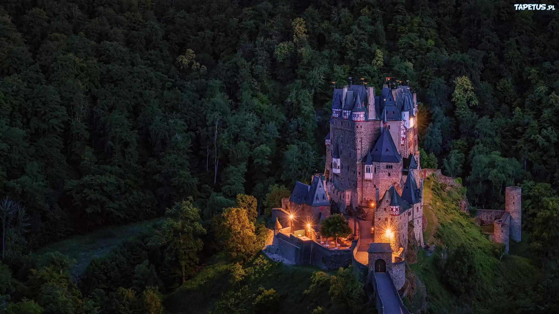 Góry Eifel, Oświetlony, Zamek Eltz, Noc, Las, Drzewa, Gmina Wierschem, Niemcy
