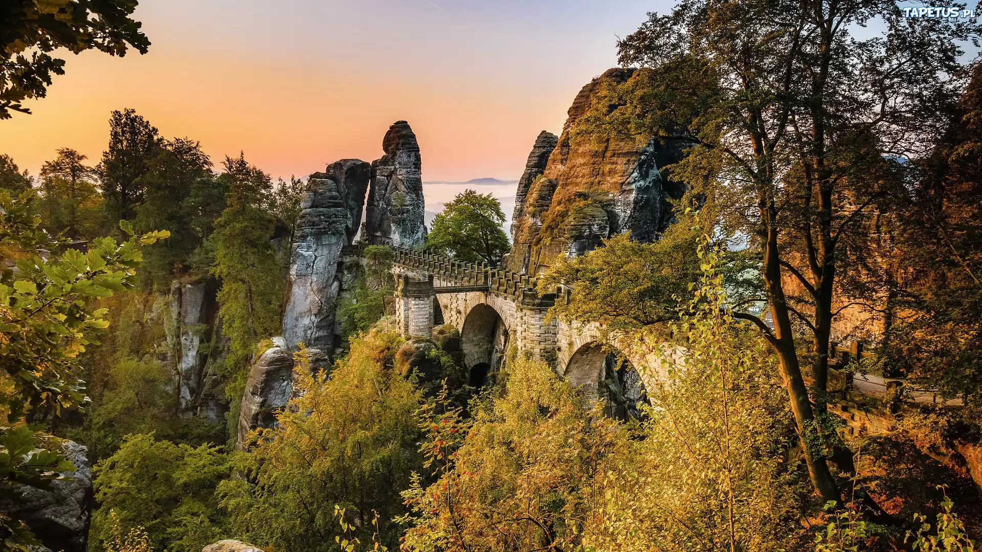 Park Narodowy Saskiej Szwajcarii, Formacja skalna Bastei, Most, Skały, Drzewa, Góry Połabskie, Niemcy