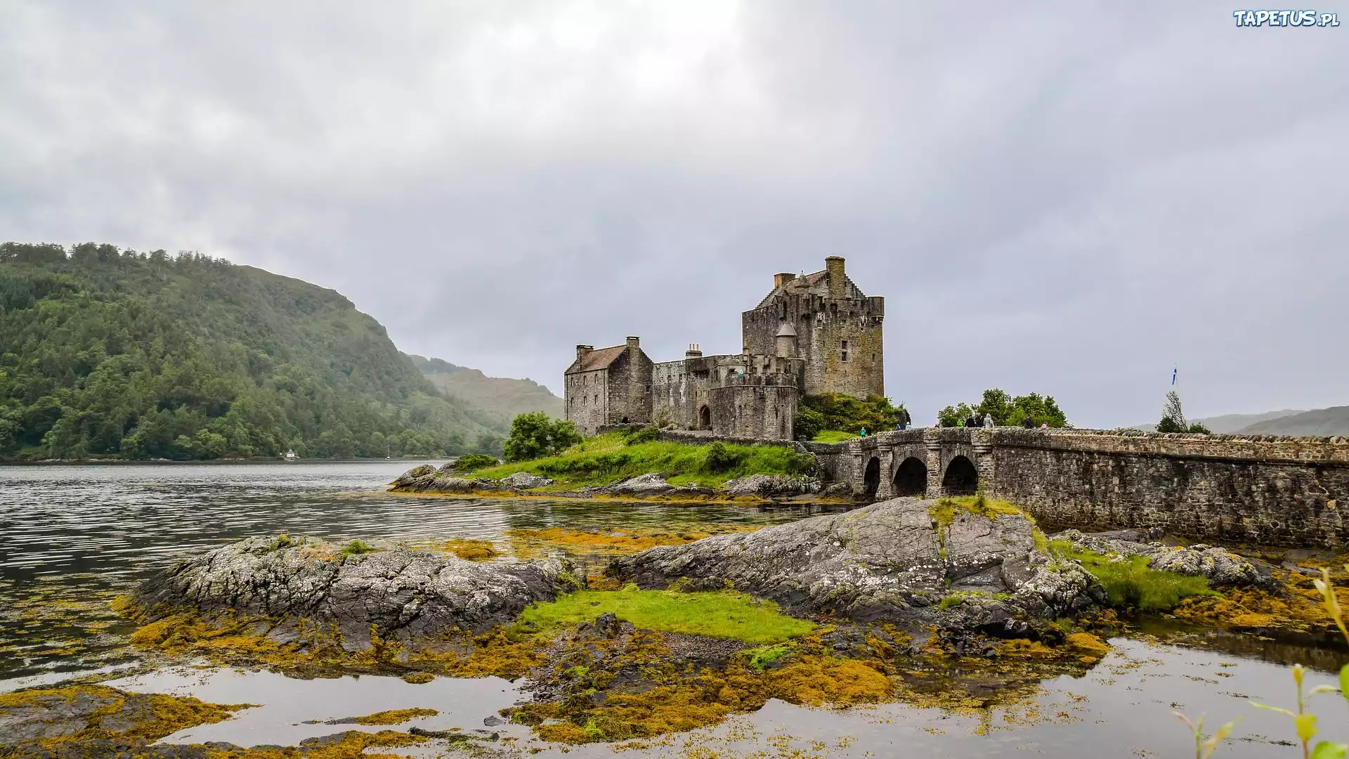 Szkocja, Zamek Eilean Donan, Jezioro Loch Duich, Kamienny, Most