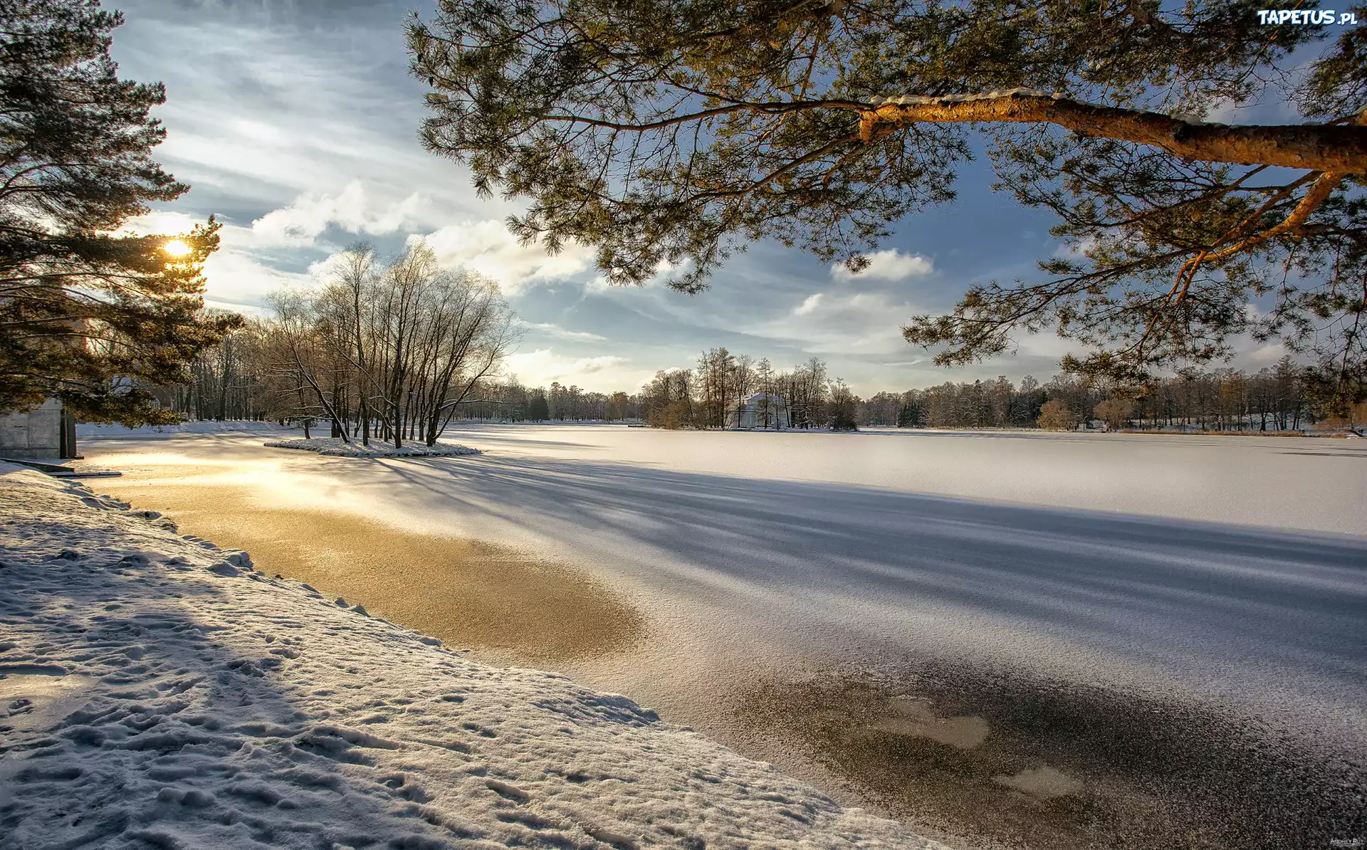 Zima, Park, Zaśnieżony, Staw, Drzewa