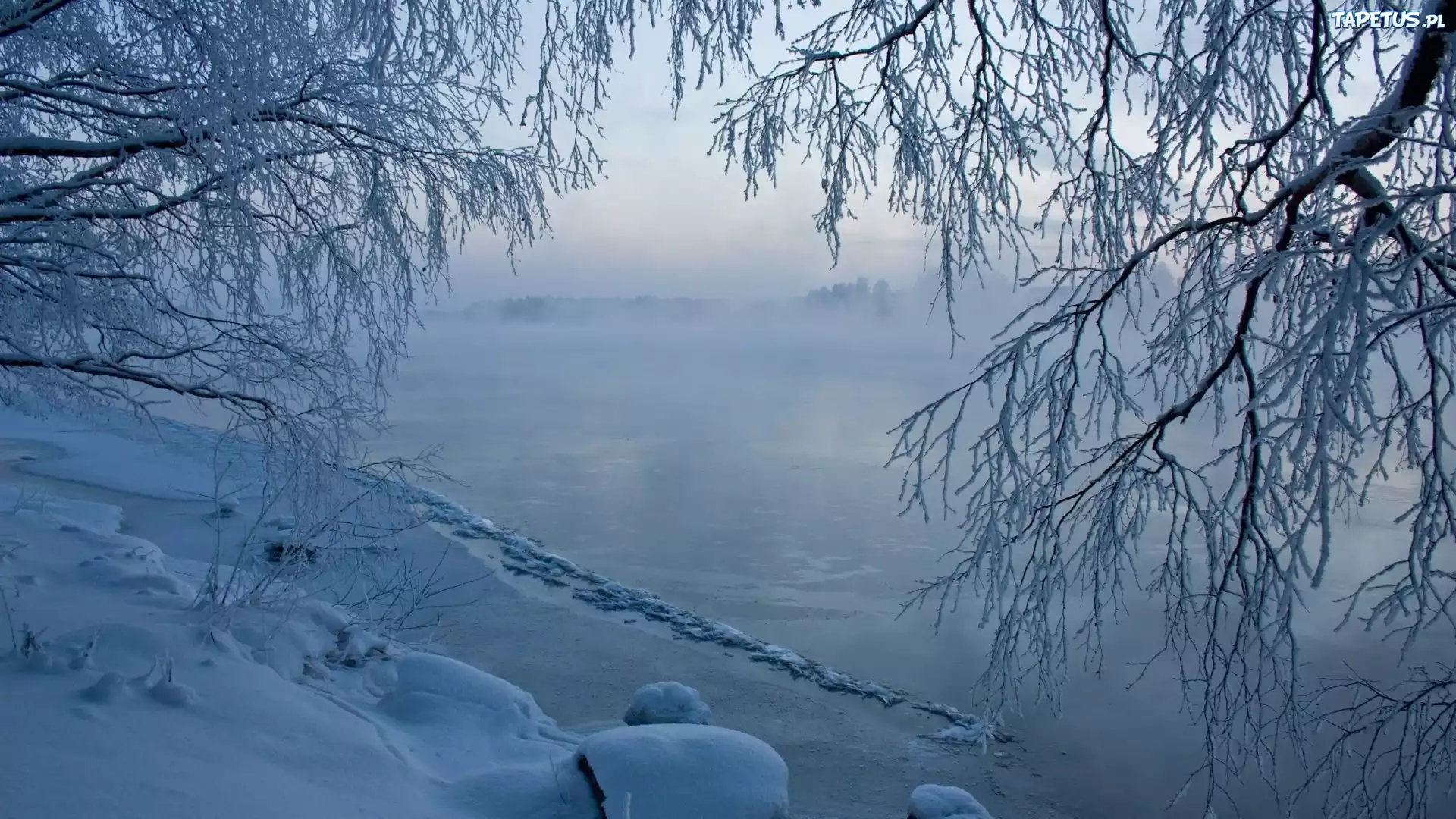 Zima, O?nie?one, Drzewa, Ga??zie, Jezioro, L?d, Mg?a