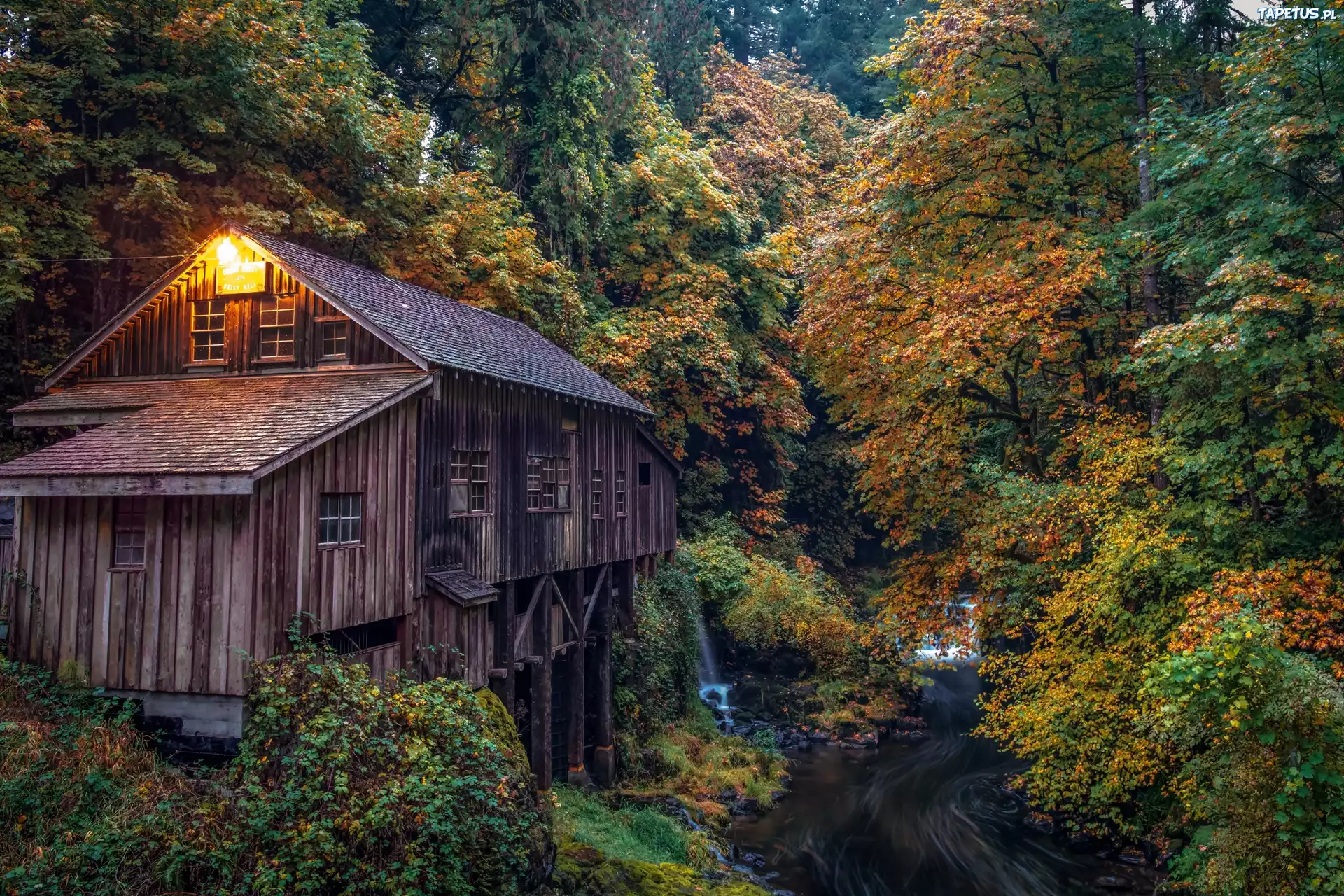 Stany Zjednoczone, Stan Waszyngton, M?yn Cedar Creek Grist Mill, Rzeka, Las, Jesie?