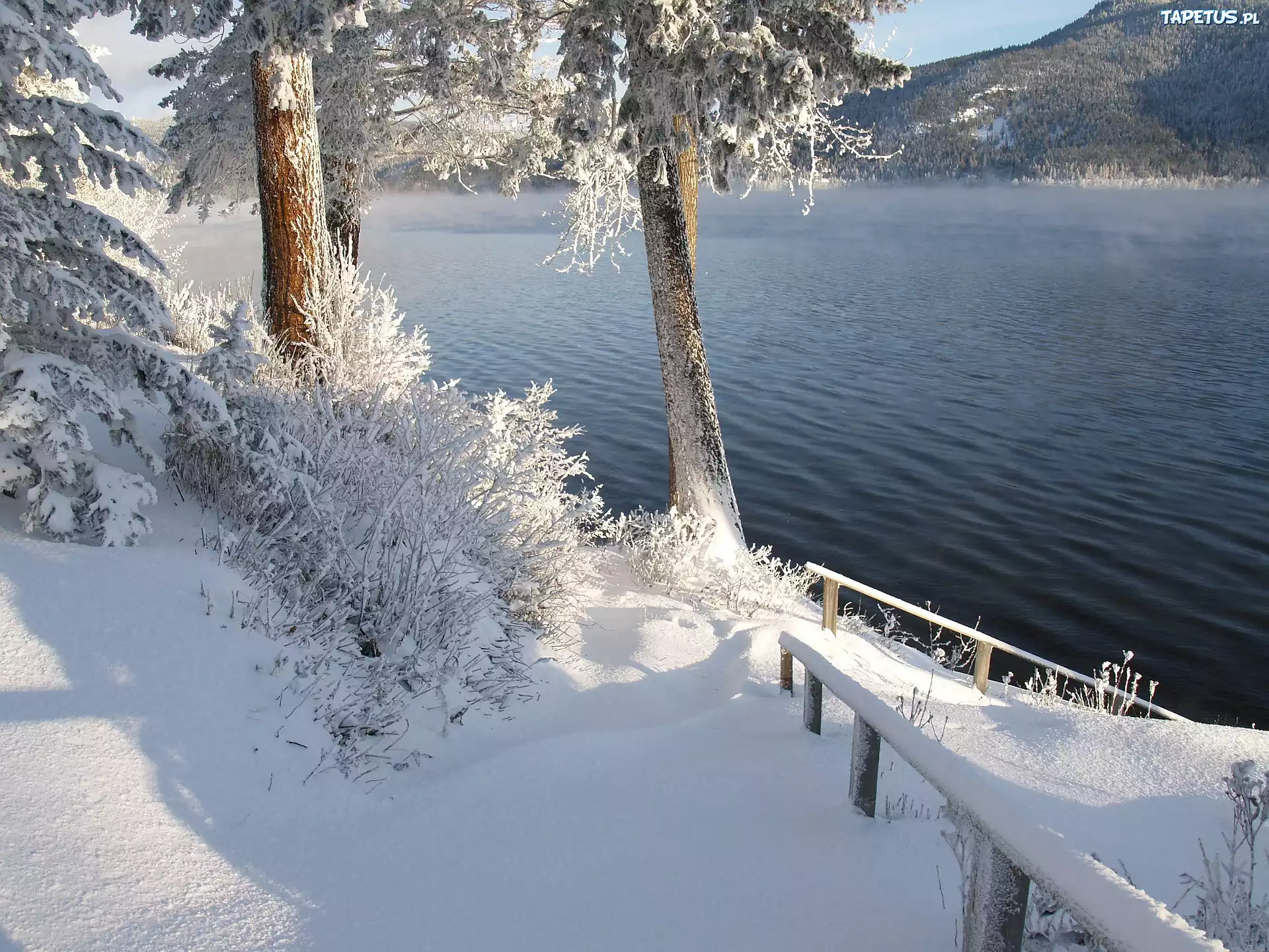 Zima, ?nieg, Drzewa, Szron, Pogodny dzie?, Jezioro, Canim Lake, Kolumbia Brytyjska, Kanada