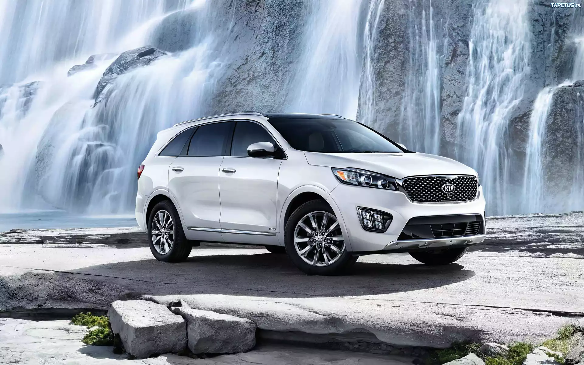 Bia?a, Kia Sorento