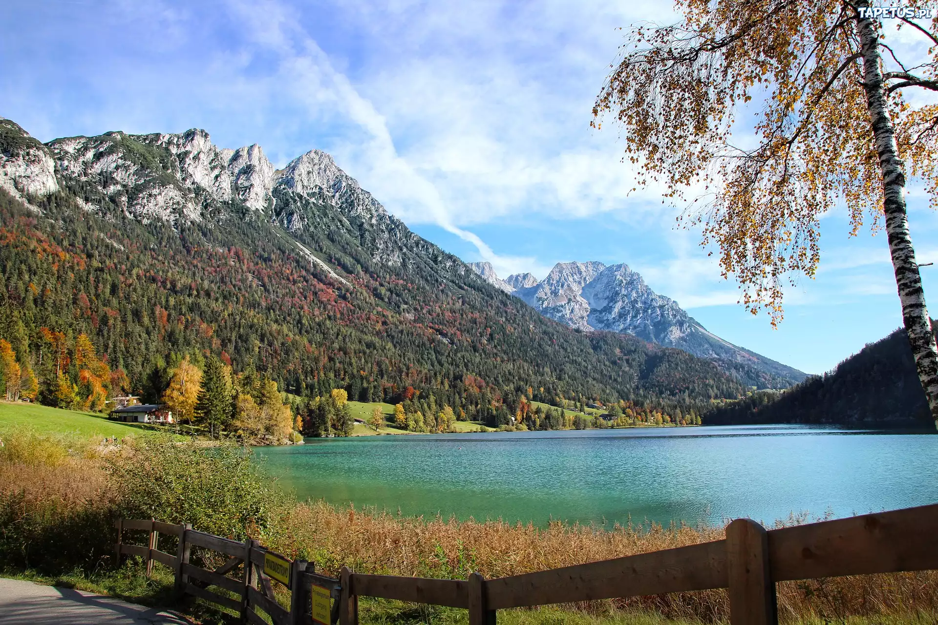 G?ry Kaisergebirge, Ellmau, Drzewo, Jezioro, Gmina Ellmau, Austria