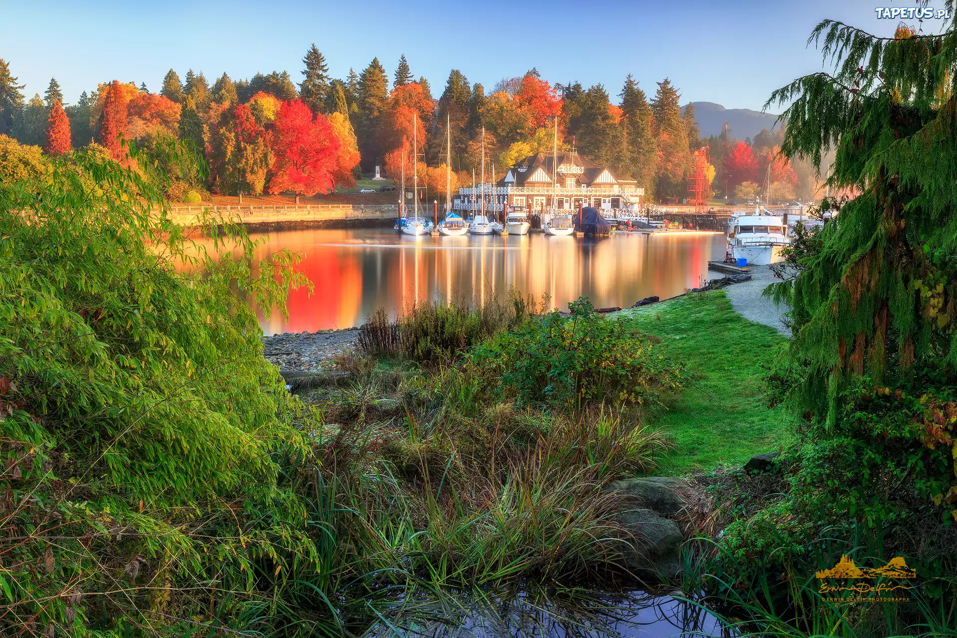 Kanada, Vancouver, Kolumbia Brytyjska, Zatoka, Stanley Park, Royal Vancouver Yacht Club, Drzewa, Jesie?, ?agl?wki