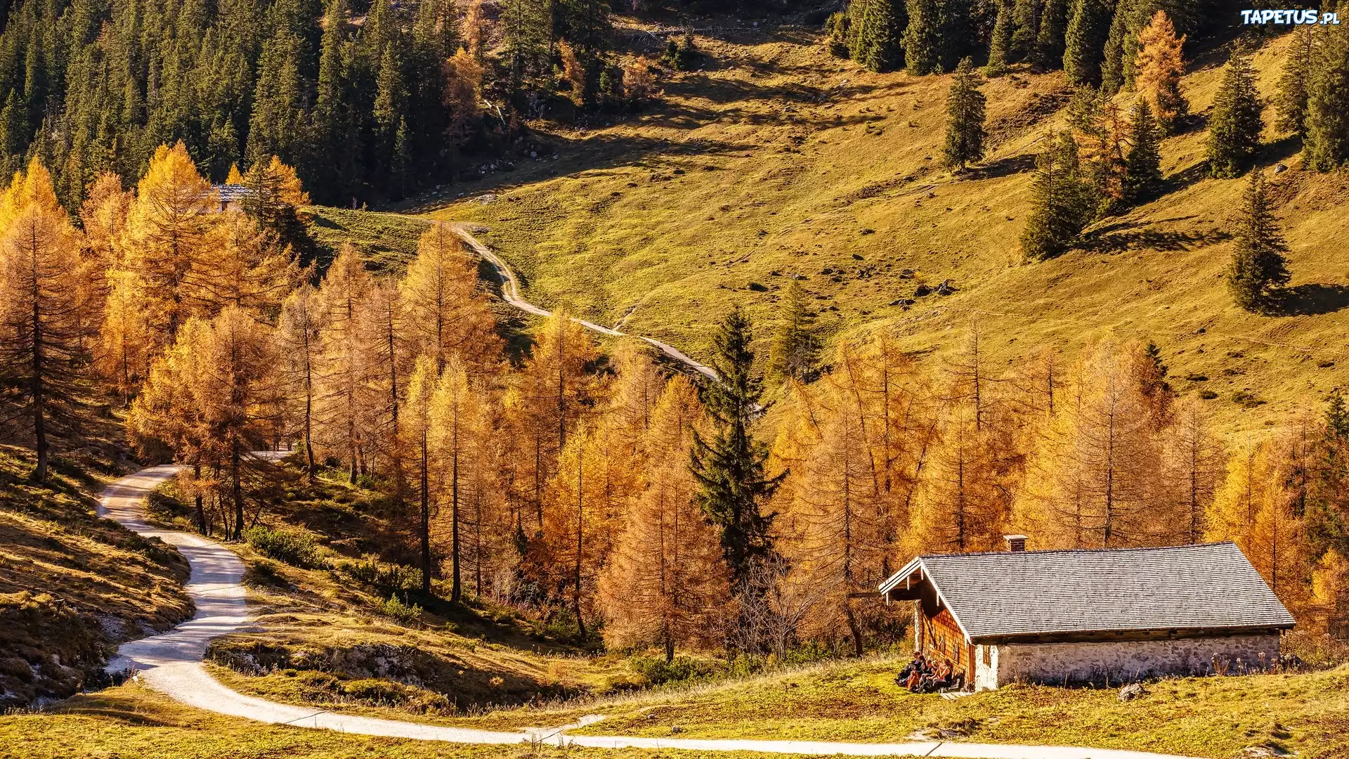 Jesie?, G?ry, Dom, Droga, Drzewa, Berchtesgaden, Bawaria, Niemcy