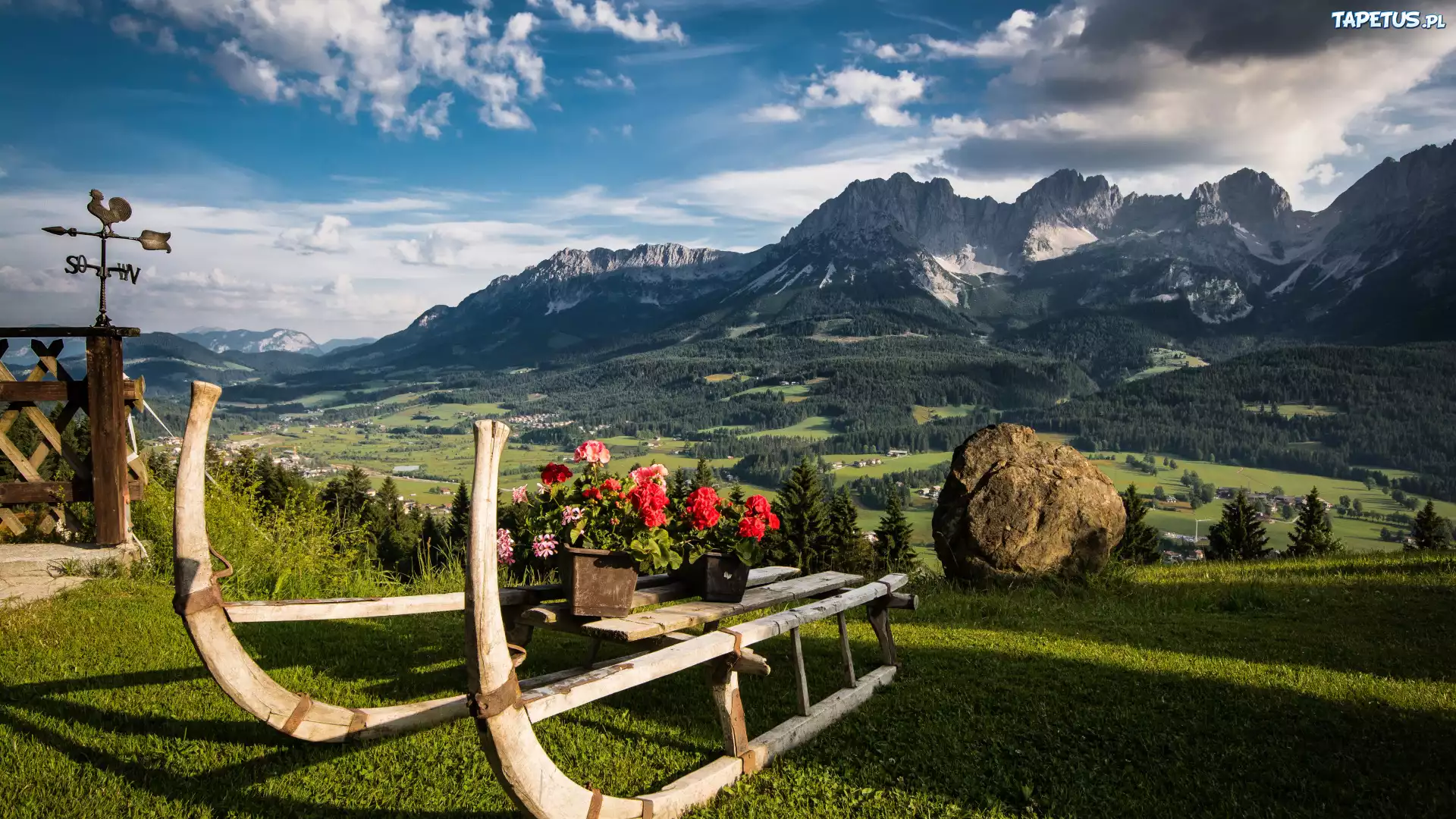Pelargonie, Sanki, G?ry, Alpy, Tyrol, Austria