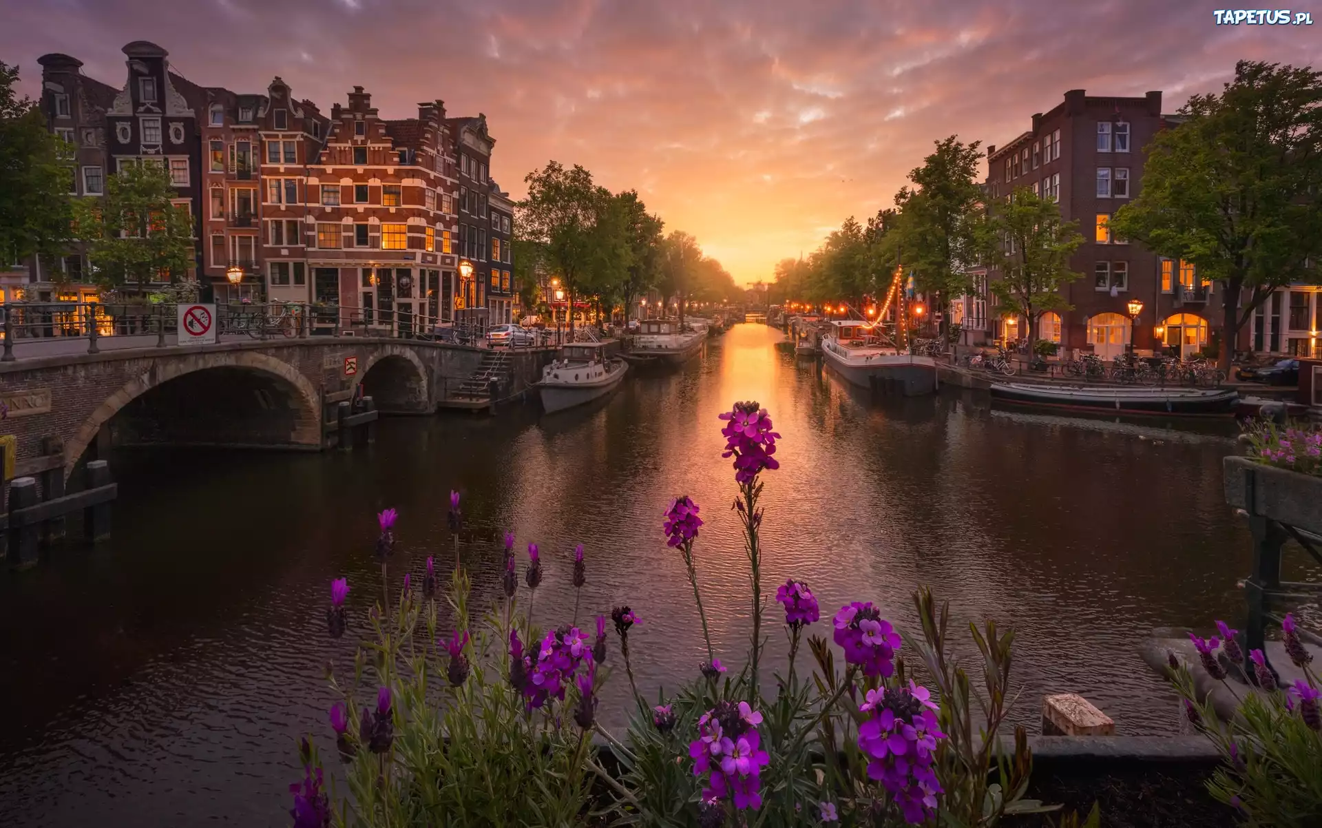 Holandia, Amsterdam, Domy, Kana?, Most, Kwiaty, Zach?d s?o?ca