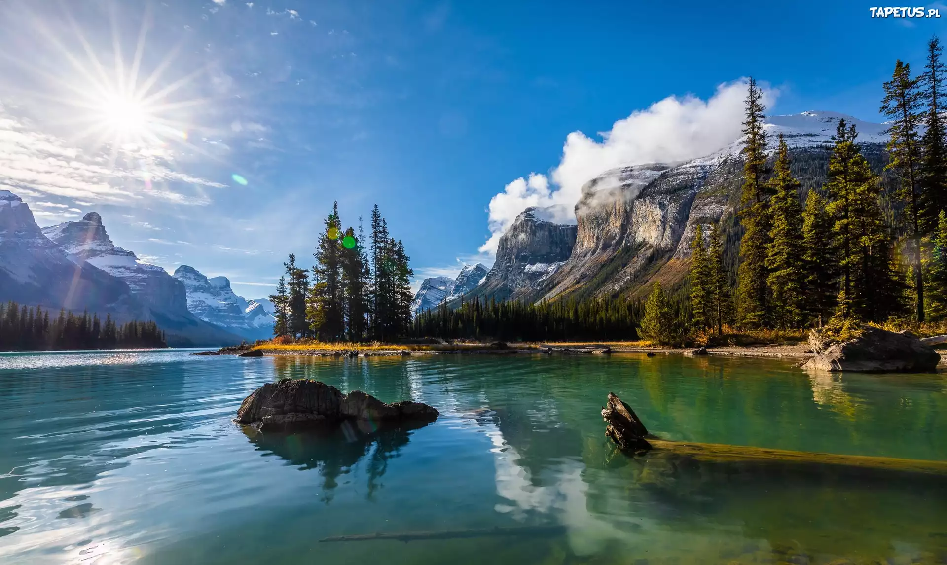 Kanada, Prowincja Alberta, Park Narodowy Jasper, G?ry, Jezioro Maligne, Drzewa