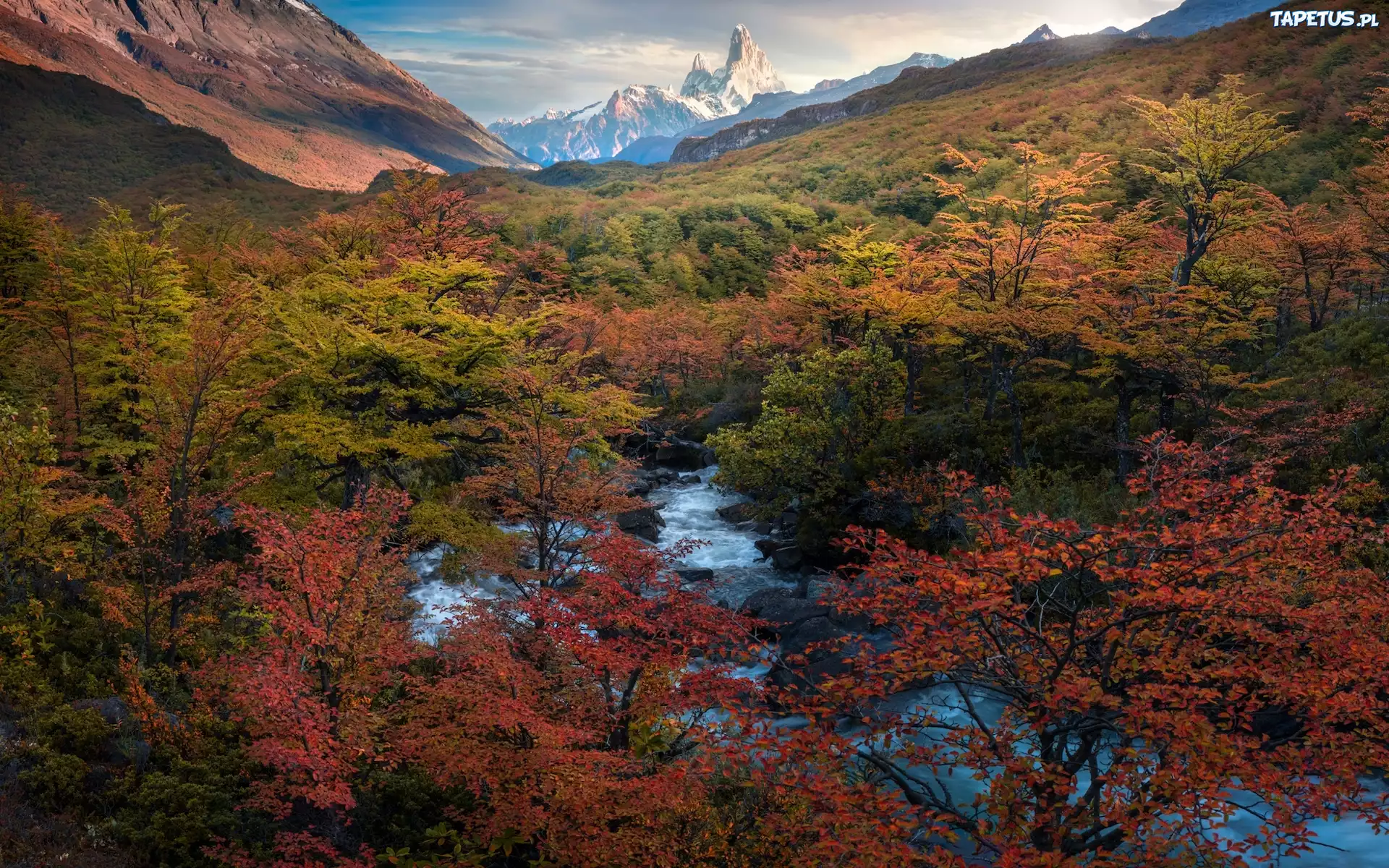 Jesie?, G?ry Andy, G?ra, Fitz Roy, Park Narodowy Los Glaciares, Drzewa, Rzeka, Patagonia, Argentyna