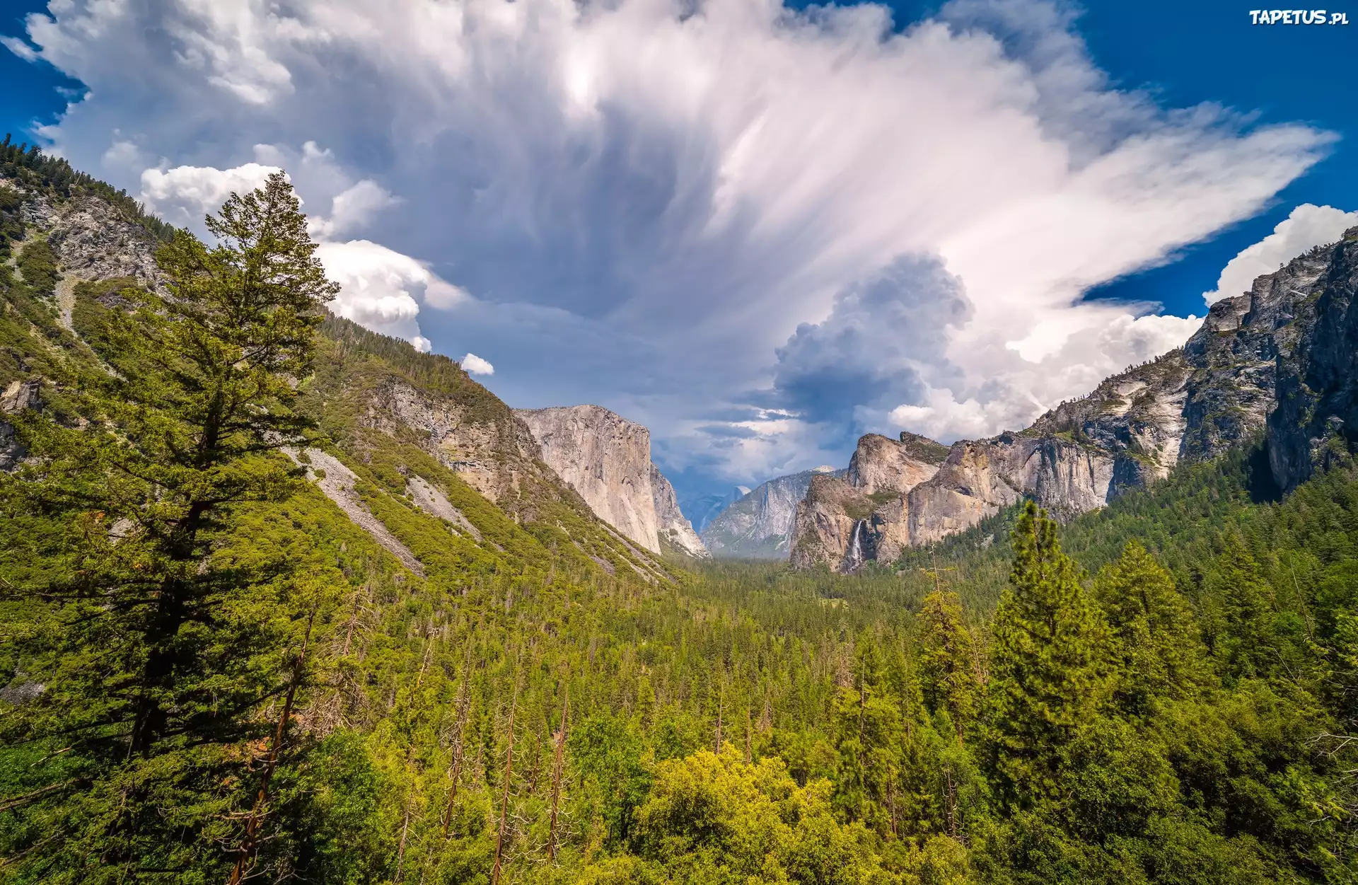 G?ry, Drzewa, Las, Niebo, Chmury, Dolina, Yosemite Valley, Park Narodowy Yosemite, Kalifornia, Stany Zjednoczone
