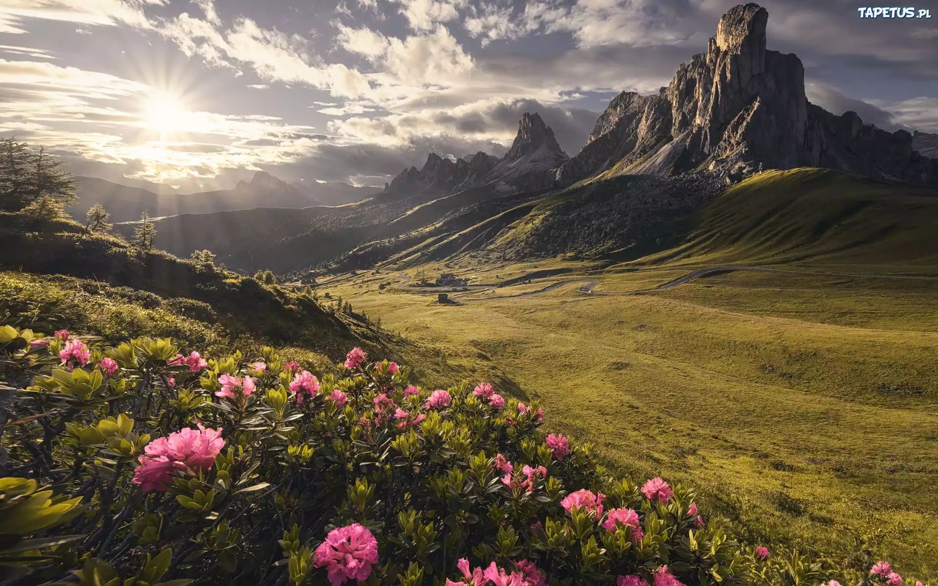 Dolomity, Prze??cz, Passo di Giau, G?ry, Kr?ta, Droga, R??aneczniki, Kwiaty, Promienie s?o?ca, Chmury Prowincja Belluno, W?ochy