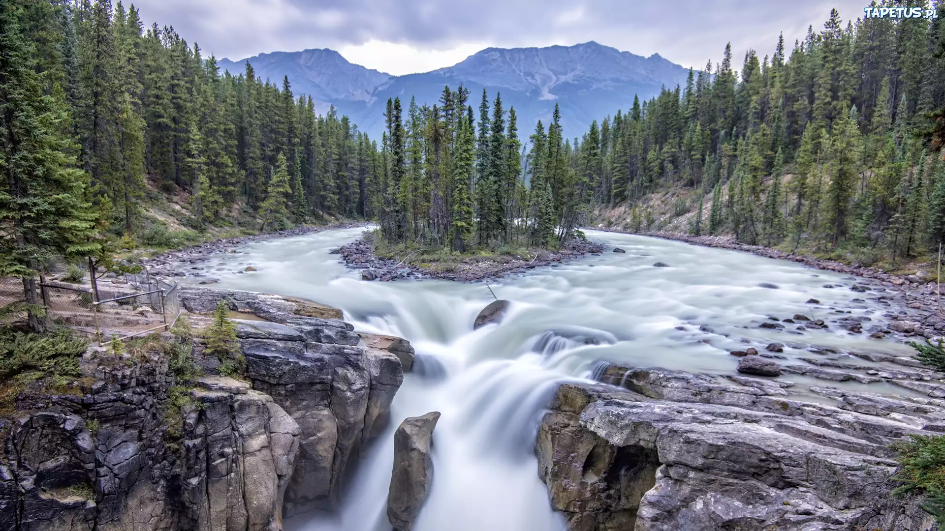Wodospad Sunwapta Falls, Rzeka Sunwapta, Park Narodowy Jasper, G?ry, Drzewa, Prowincja Alberta, Kanada