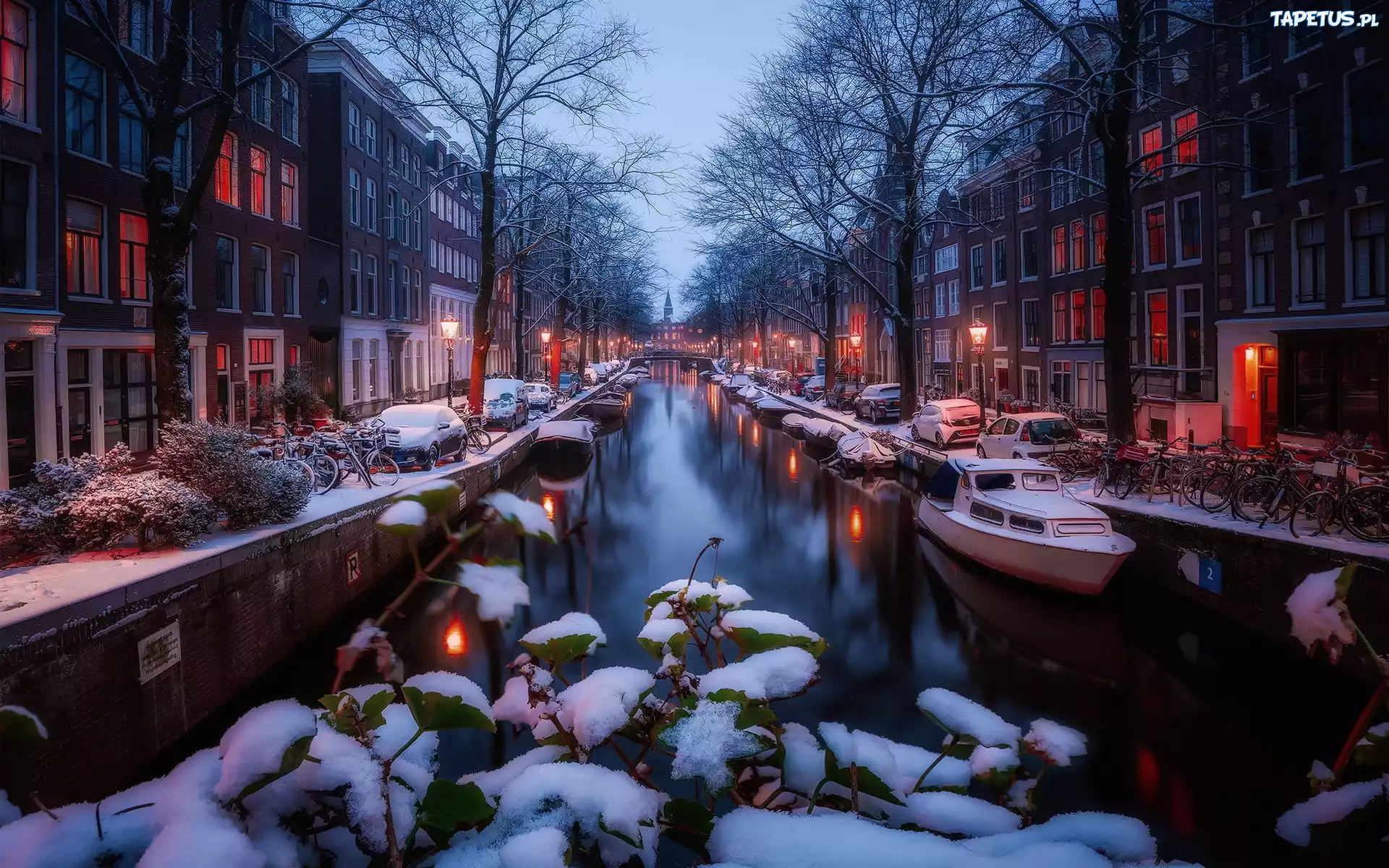 Zima, ?nieg, Kana?, Domy, Amsterdam, Holandia