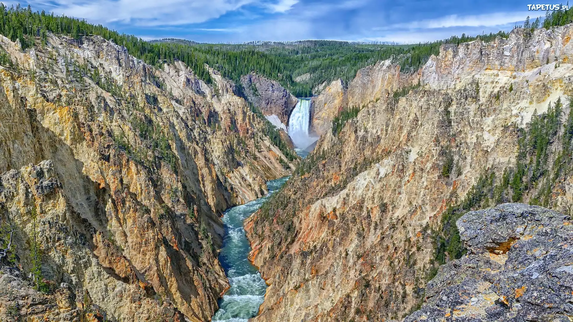 G?ry, Ska?y, Wodospad, Lower Yellowstone River Falls, Rzeka Yellowstone, Drzewa, Wielki Kanion Yellowstone, Park Narodowy Yellowstone, Stan Wyoming, Stany Zjednoczone