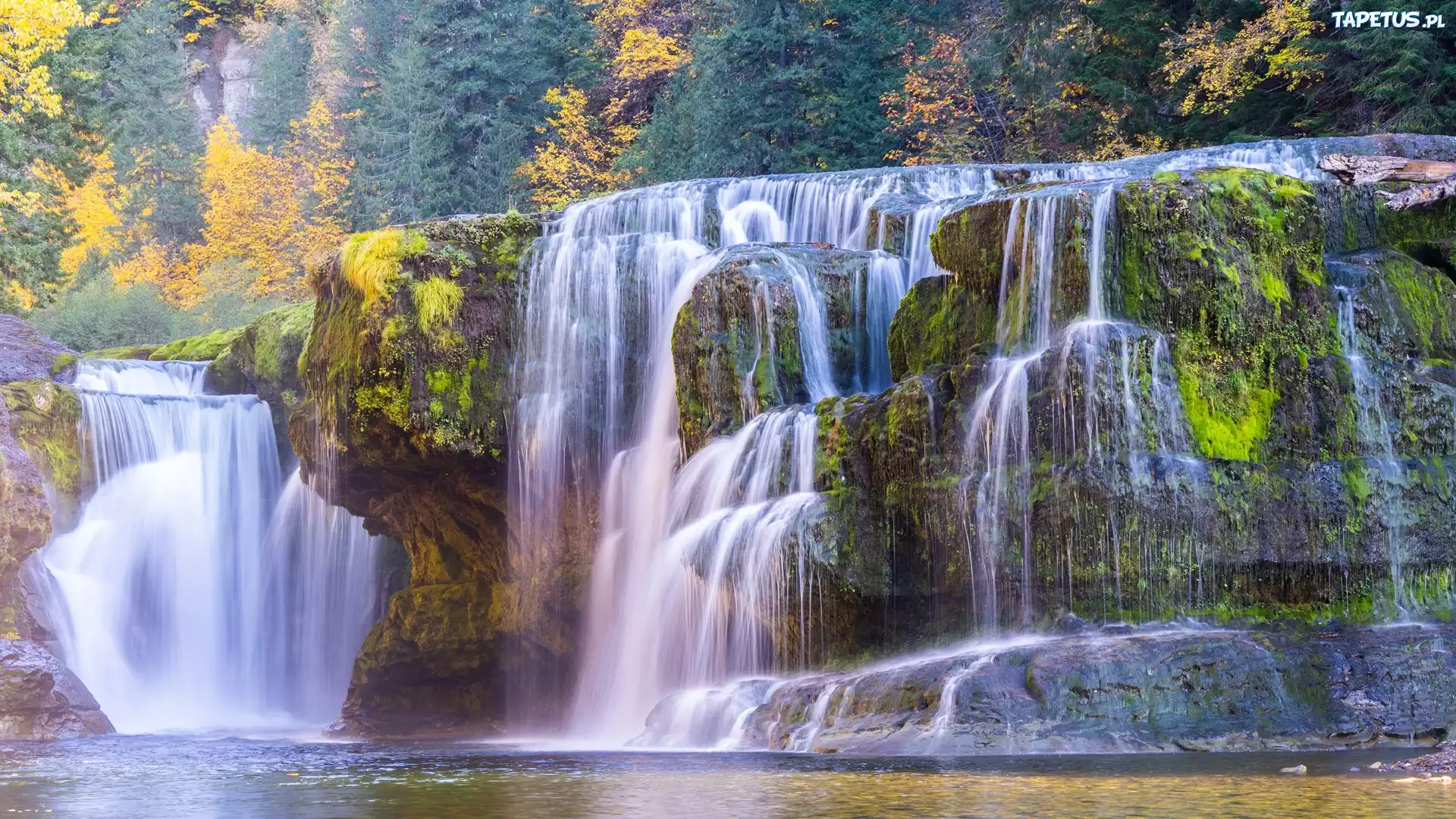 Wodospad, Lower Lewis River Falls, Ska?a, Rzeka, Drzewa, Jesie?, Stan Waszyngton, Stany Zjednoczone