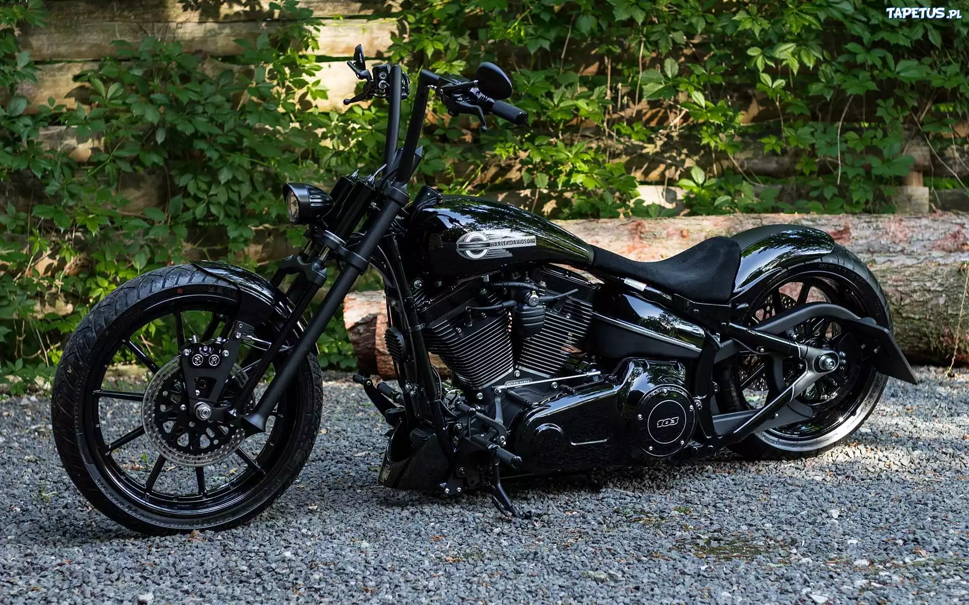 Czarny, Motocykl, Harley Davidson