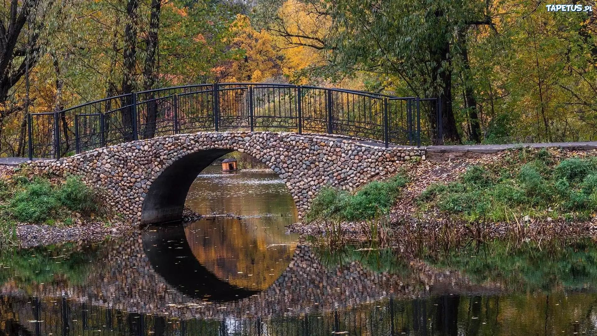 Staw, Kamienny, Mostek, Drzewa, Park