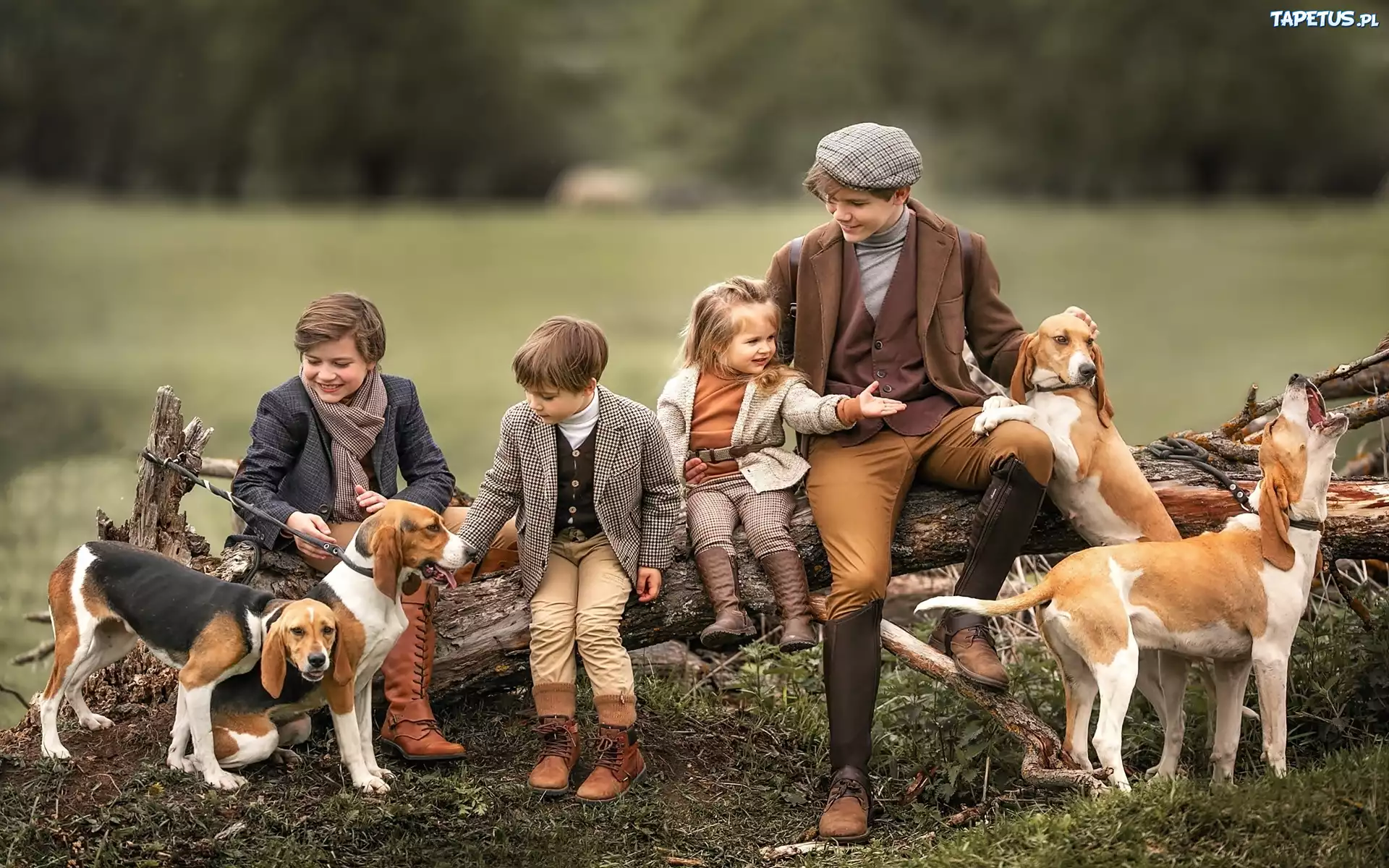 Dzieci, Psy, Beagle, Konar