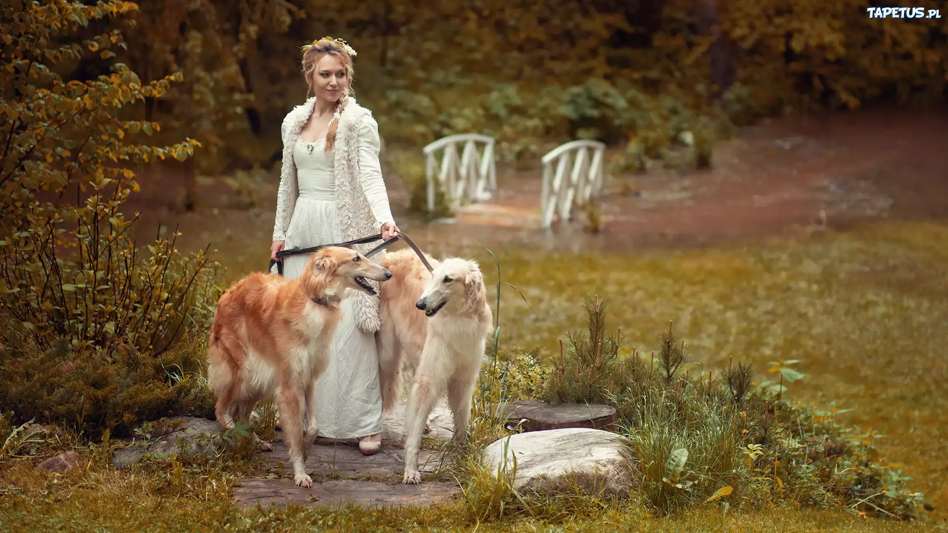 Kobieta, Blondynka, Dwa, Psy, Charty rosyjskie borzoj
